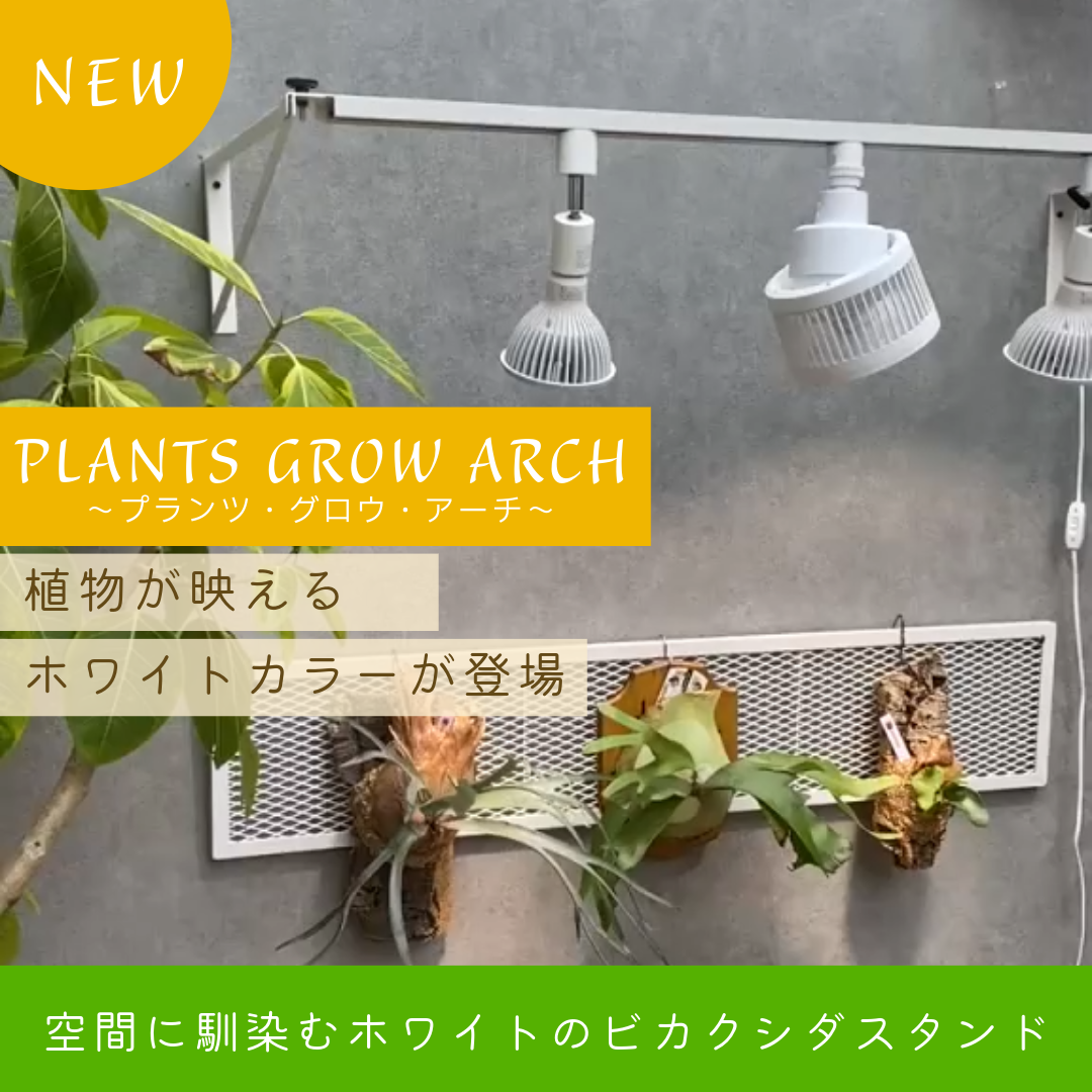 【新商品ニュース】お客様の声から誕生!PLANTS GROW ARCHに「ホワイトカラー」が追加されます