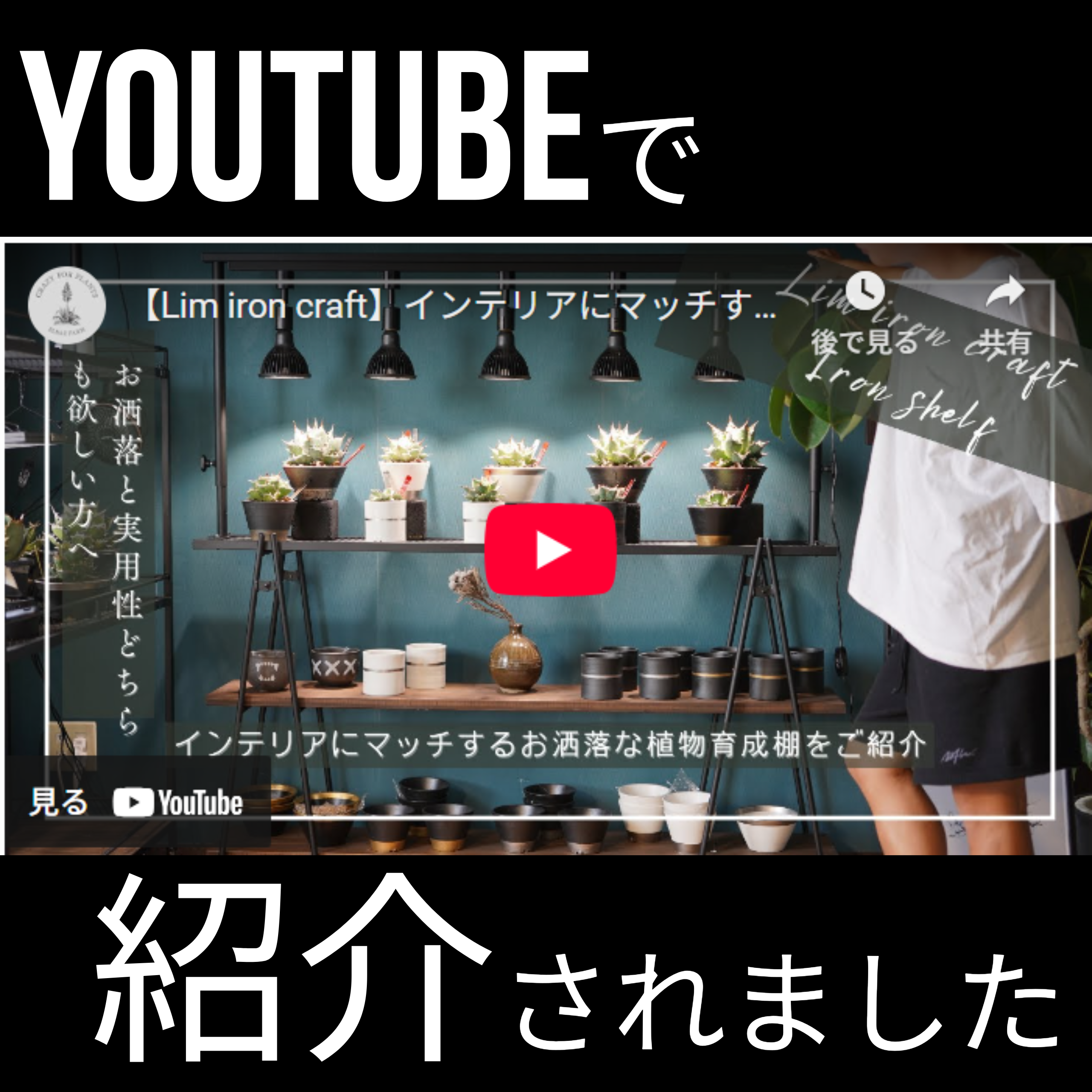 Youtubeの動画で紹介していただきました!!