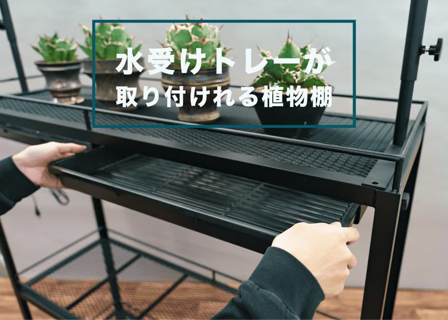 水受けトレーが取り付けらる植物棚