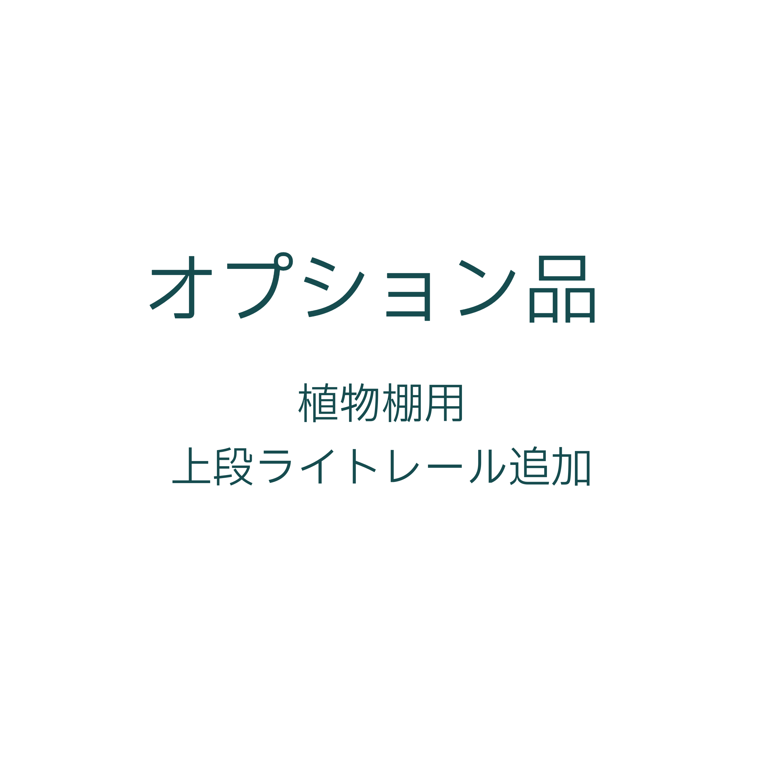 オプション:上段ライトレール