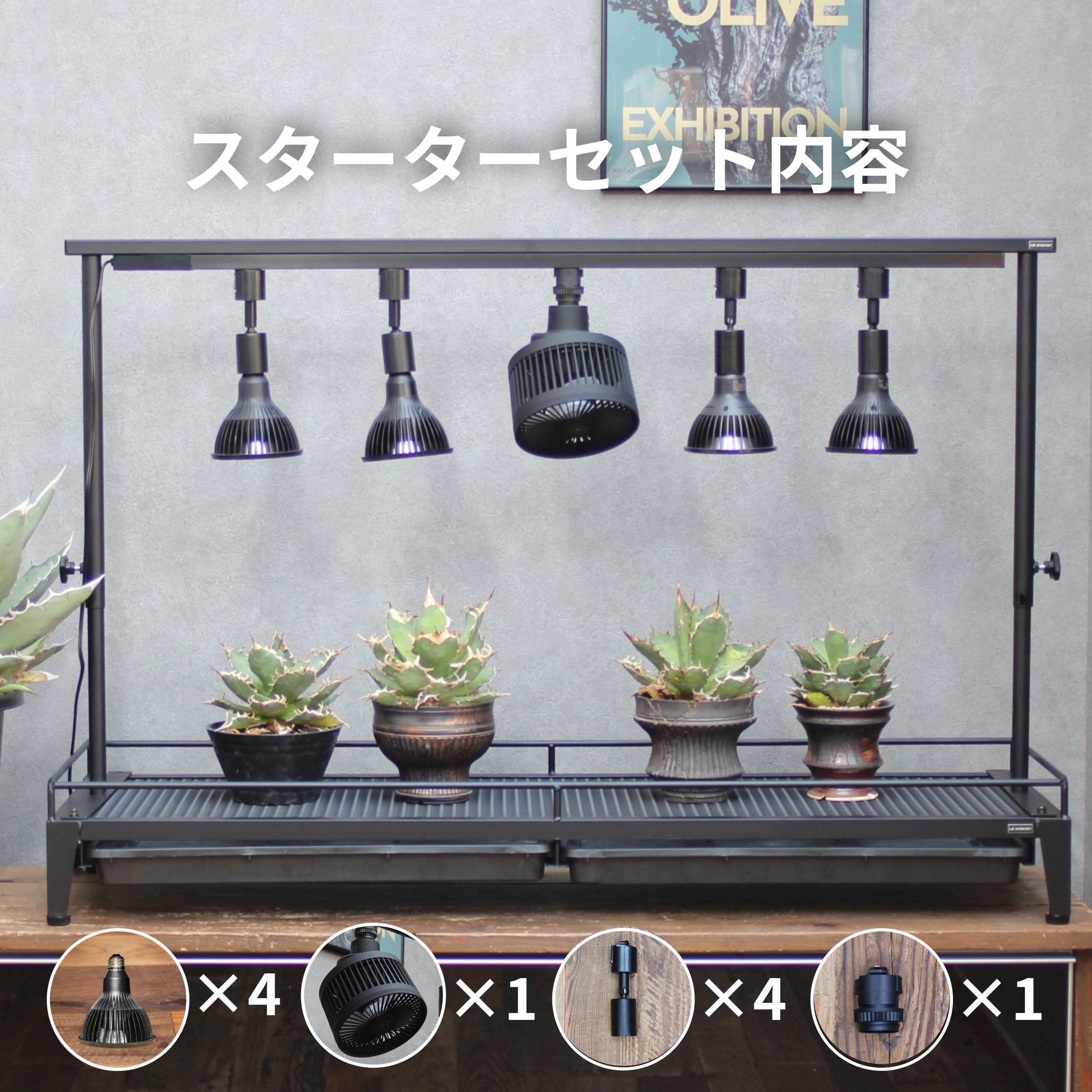 水受けトレー付き1段植物棚(W1250×D400×H130mm)アマテラススターターセット