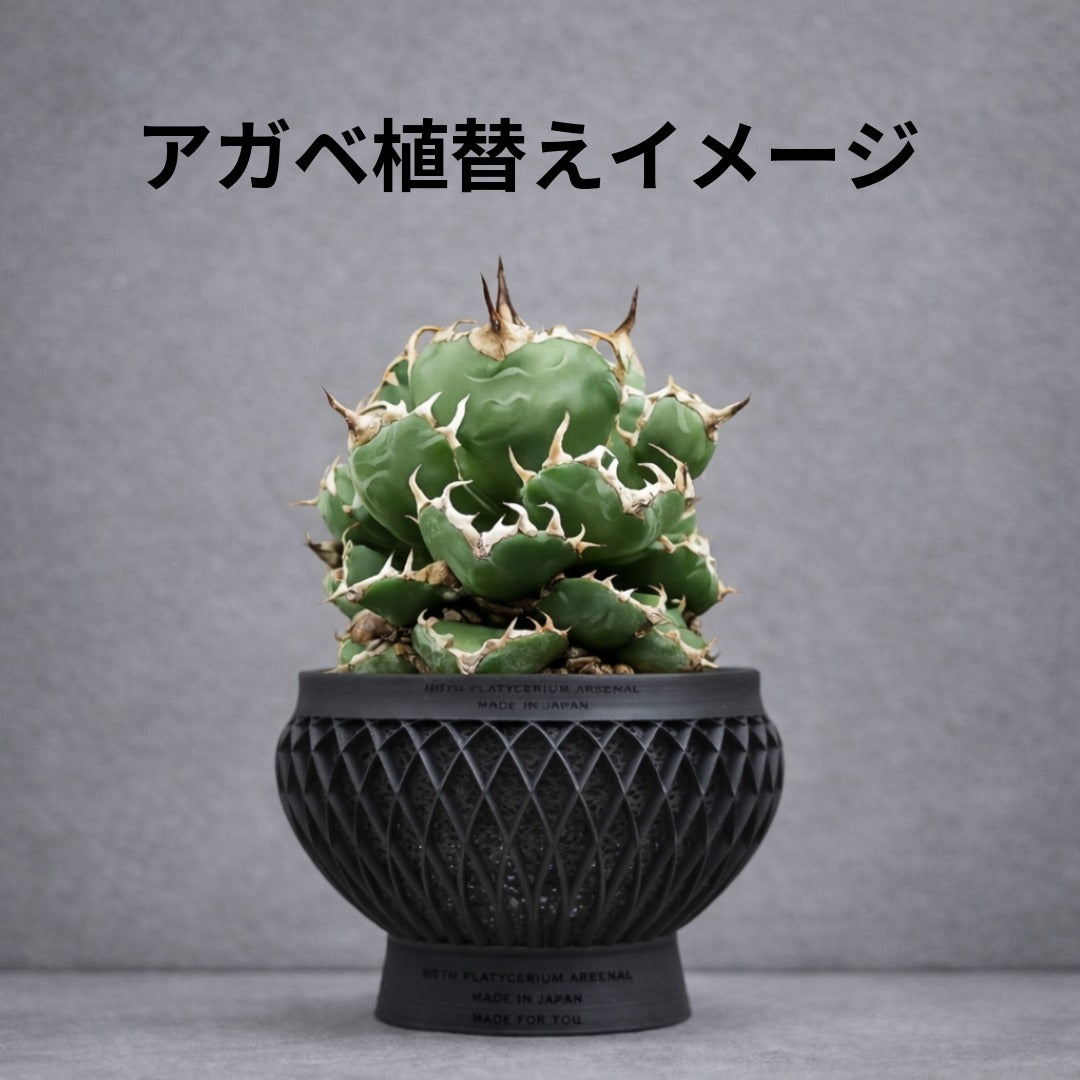 深呼吸する3Dプリンタ鉢/手毬