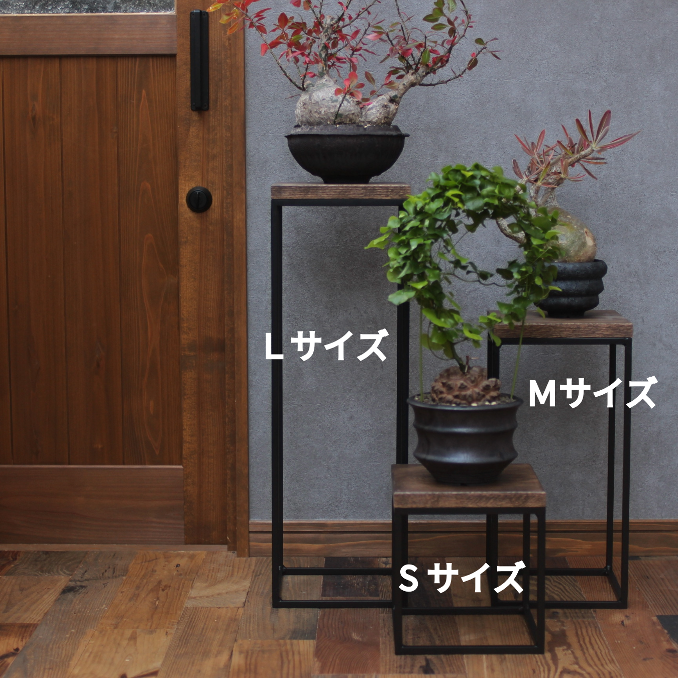Planter stand, black color