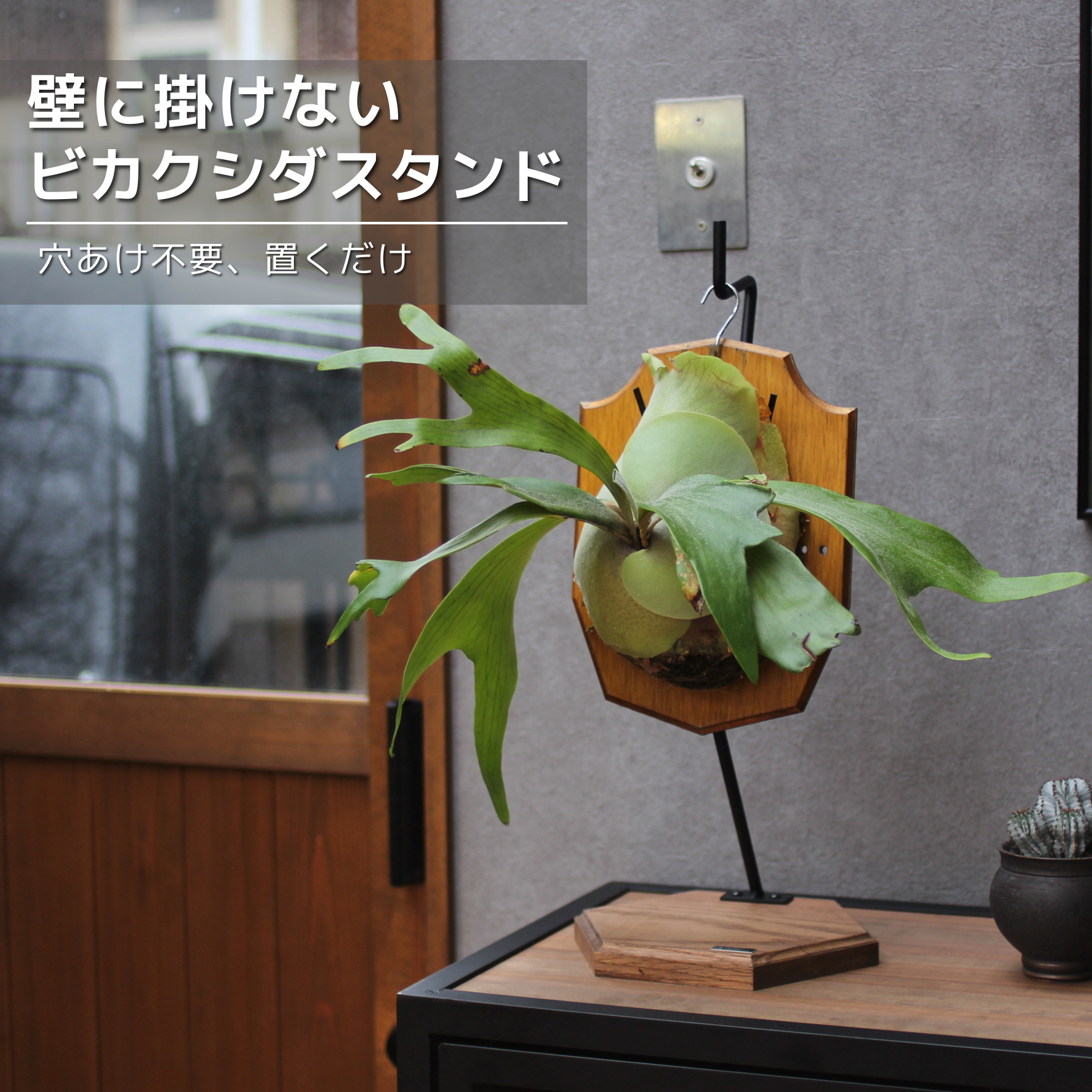 ビカクシダスタンド