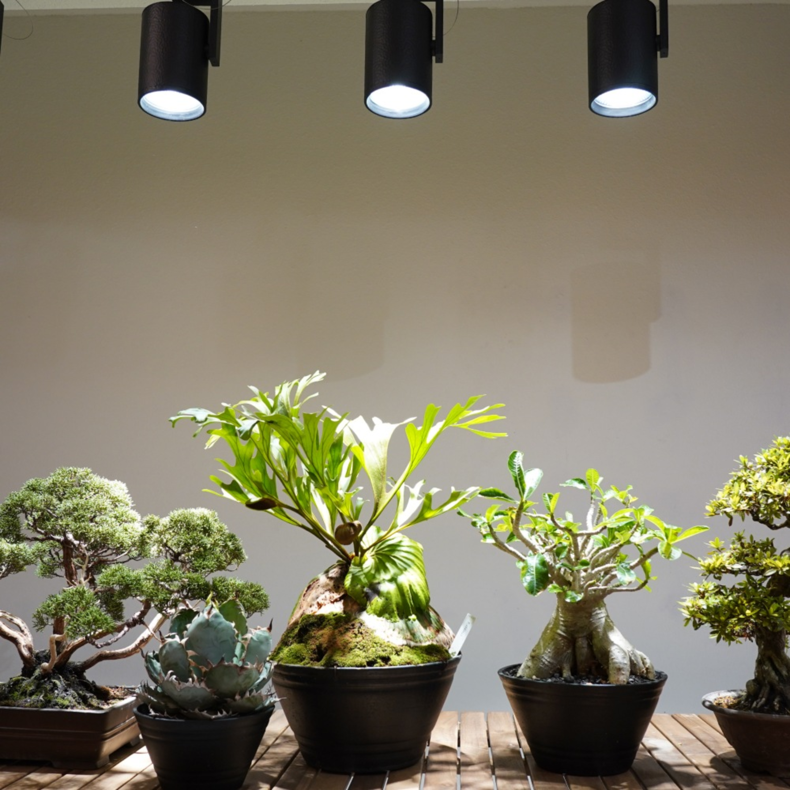 HADES LED 45W(5000K)