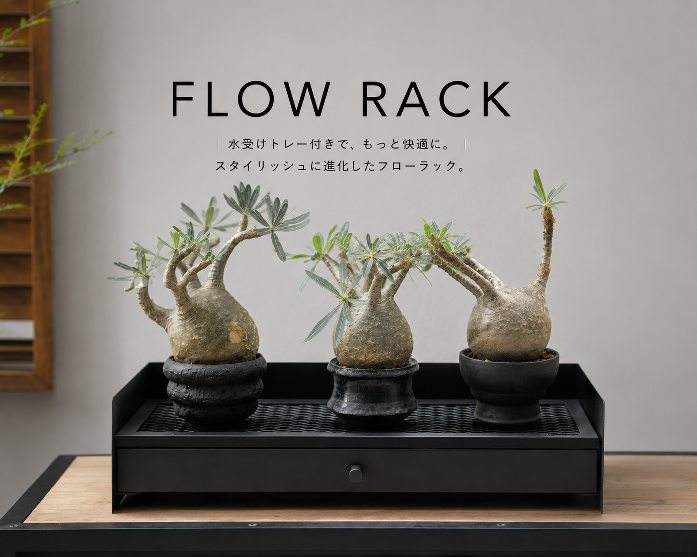 FLOW RACK ~フローラック~