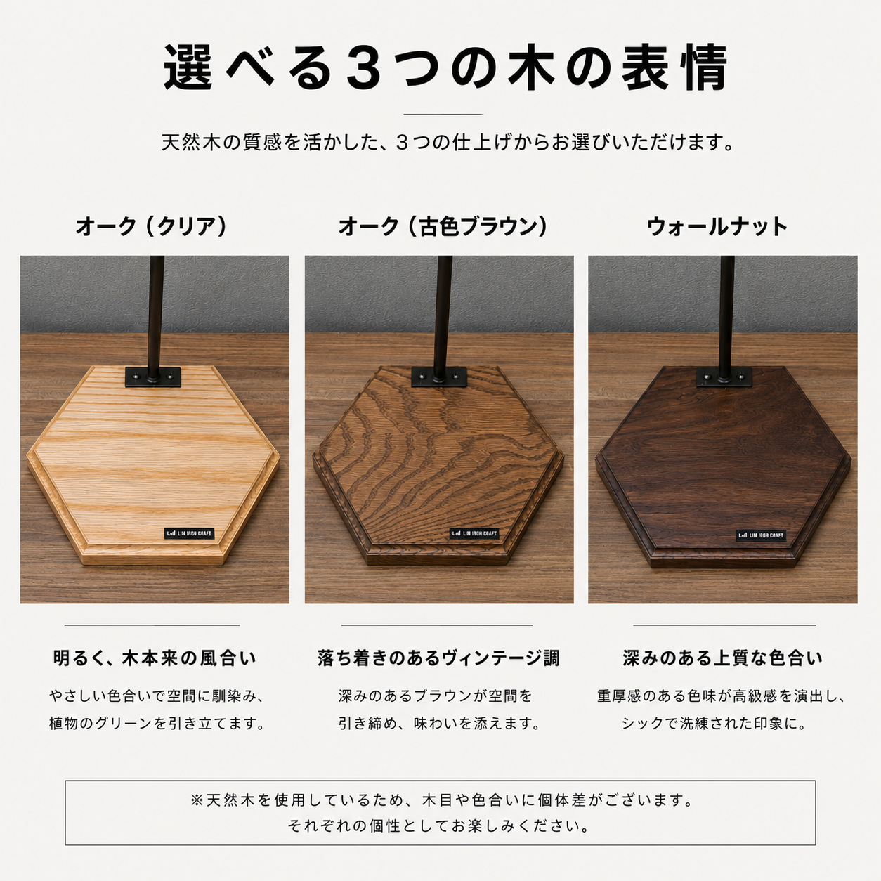 ビカクシダスタンド