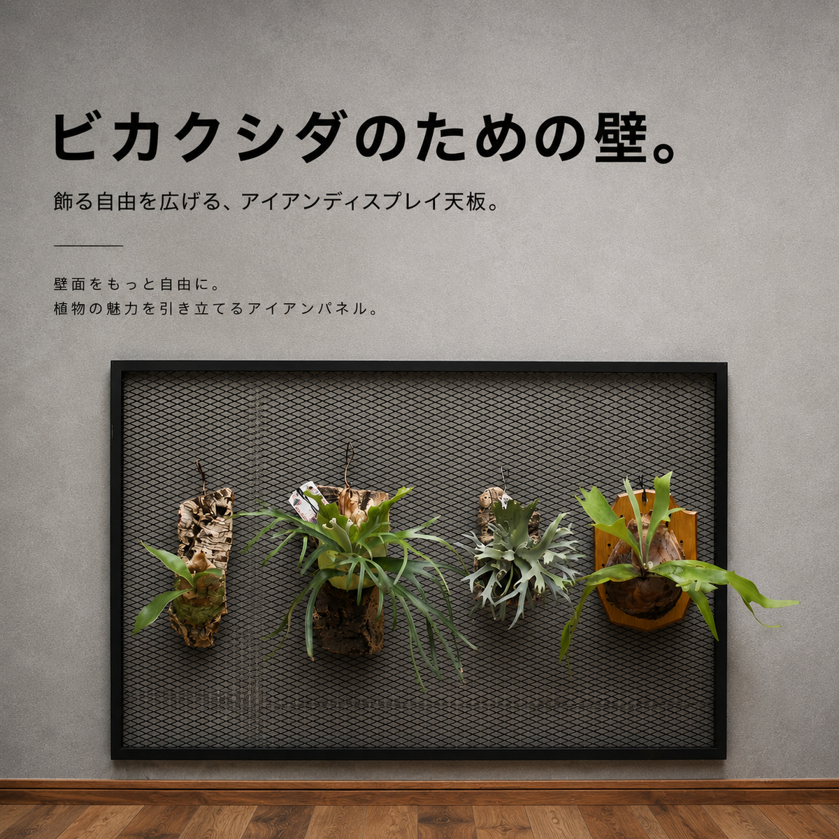 ビカクシダディスプレイ天板