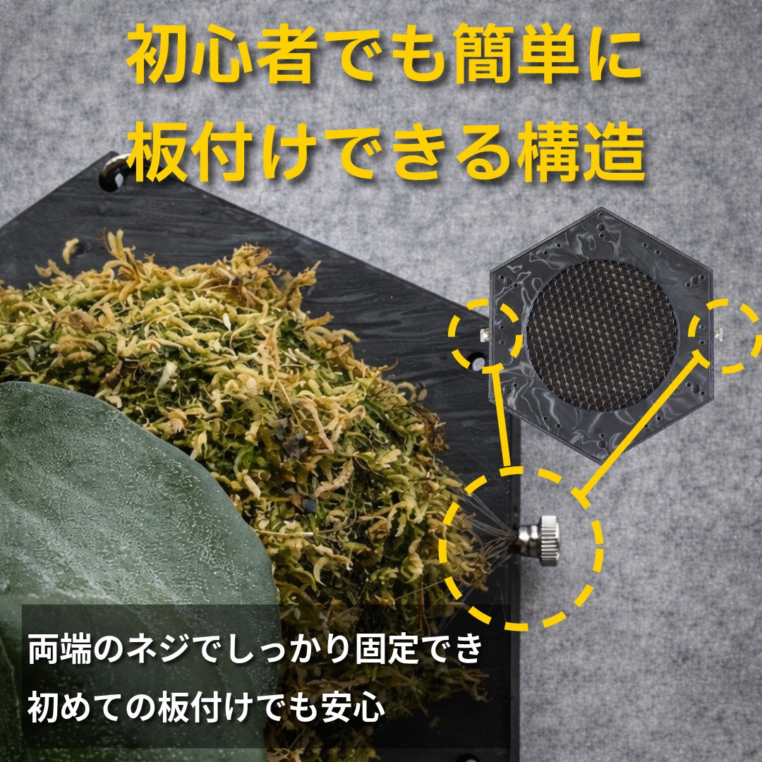ビカクシダ等着生植物用板|スタンダード板