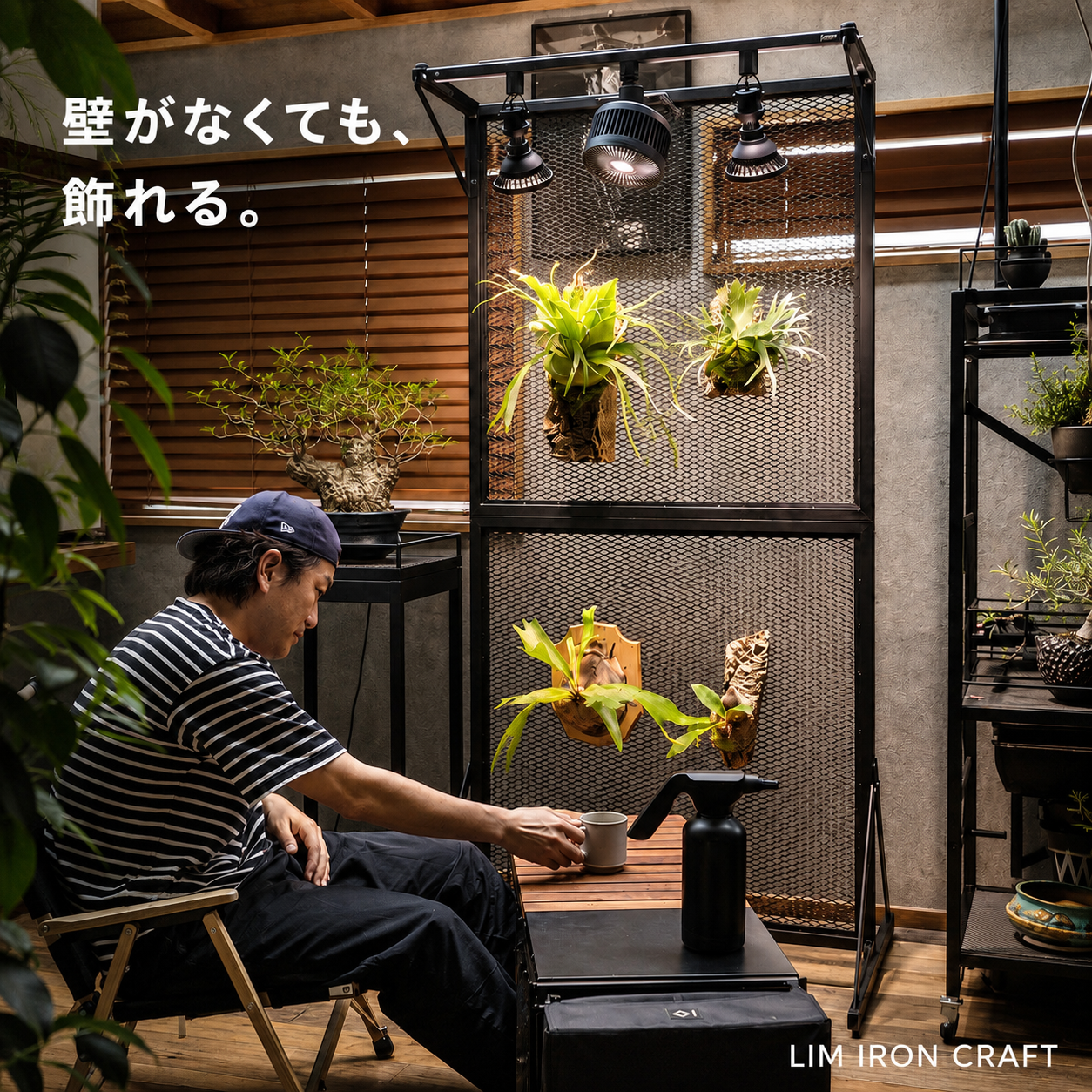 ビカクシダディスプレイパネル