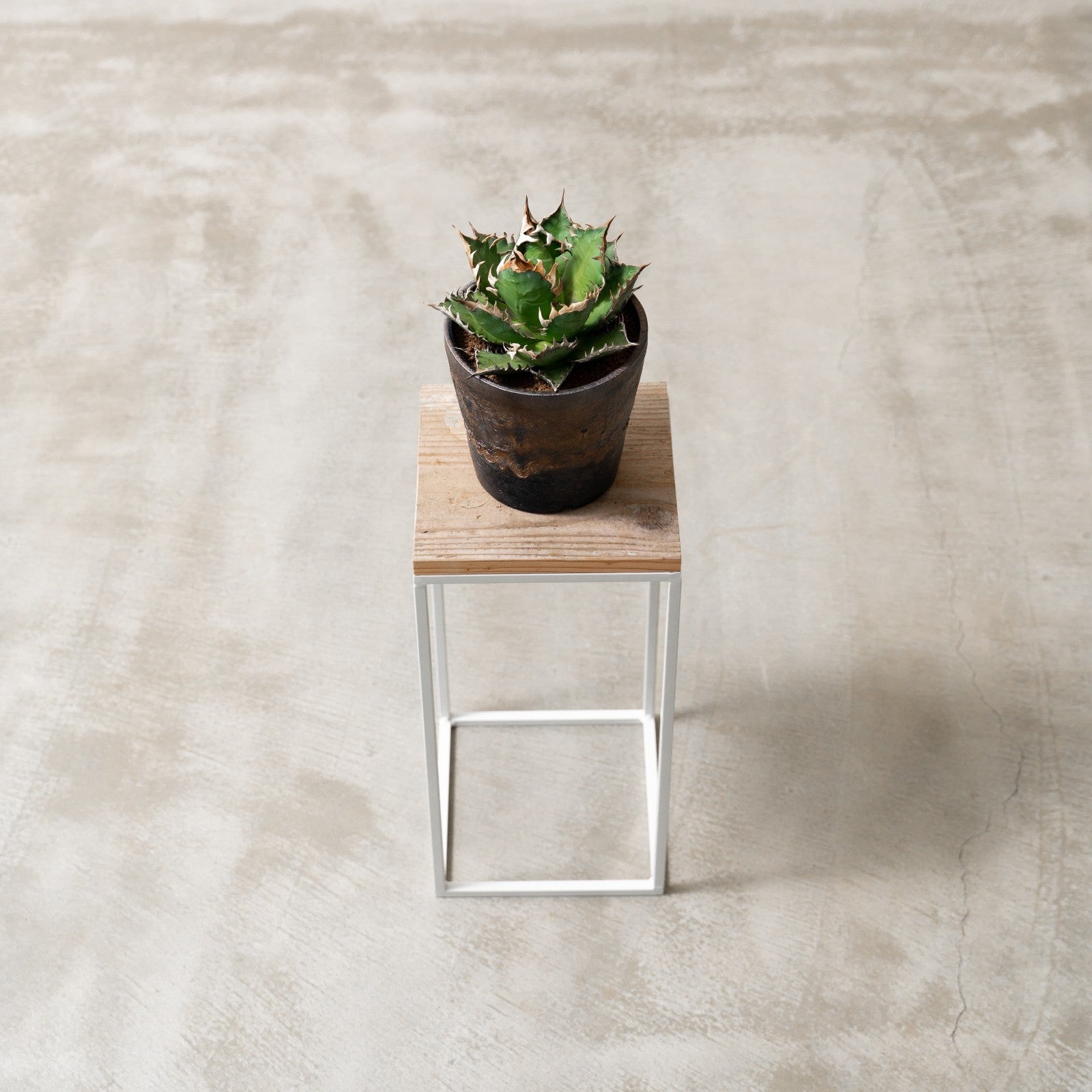 PLANTER STAND ~プランタースタンド~