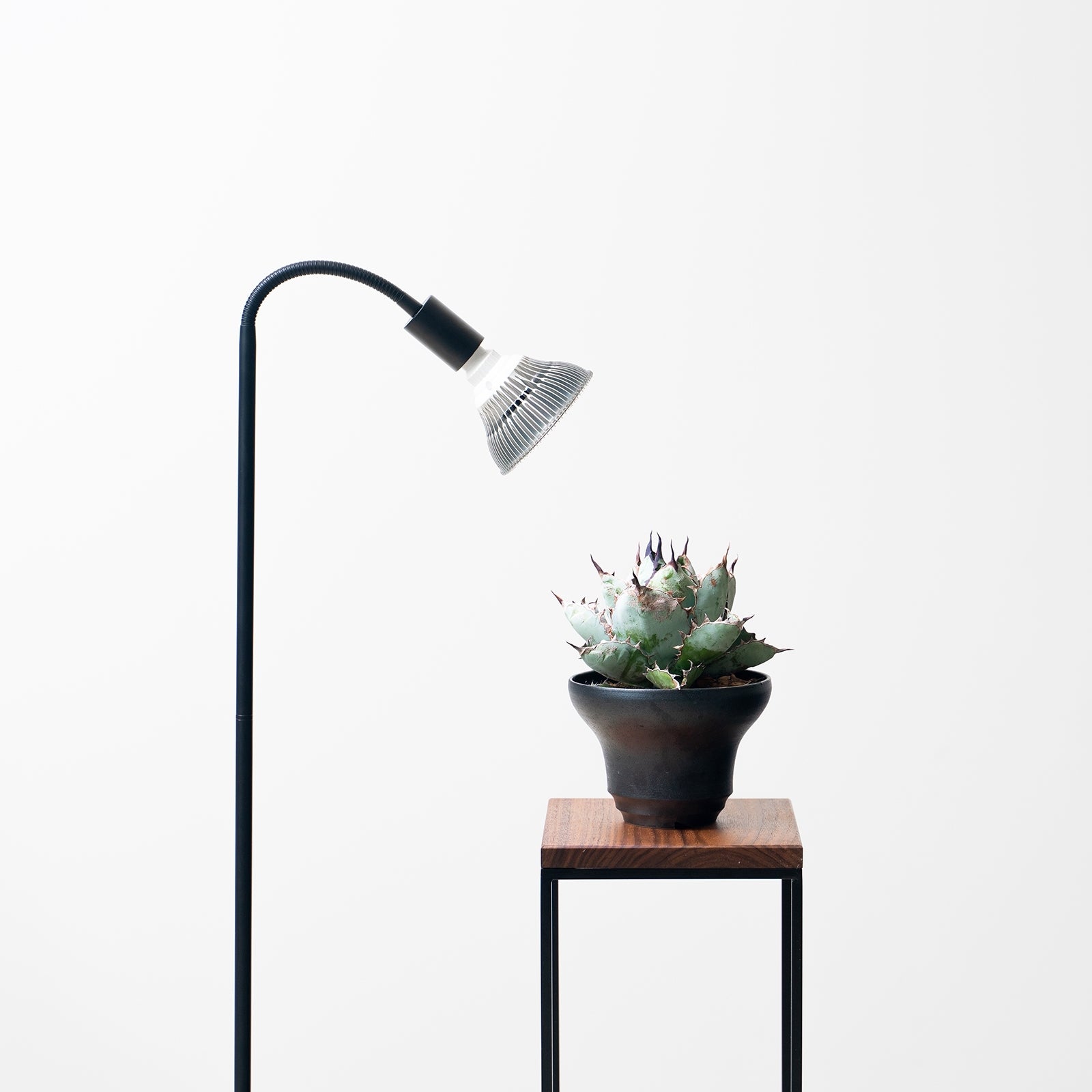 PLANTER STAND ~プランタースタンド~