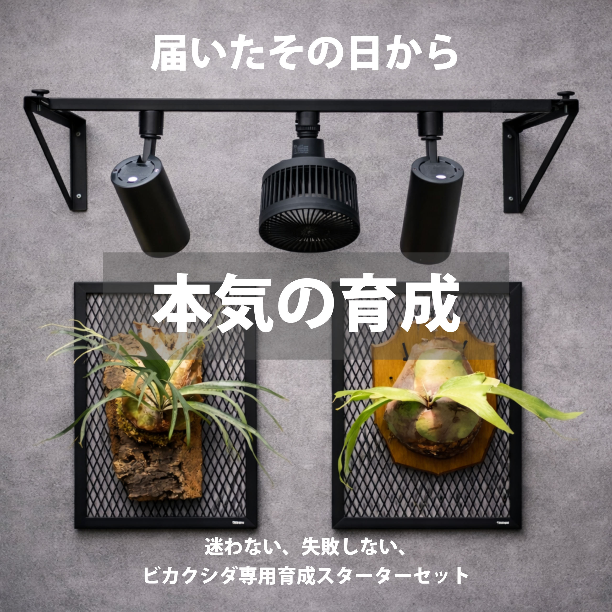 PLANTS GROW ARCHスターターセット