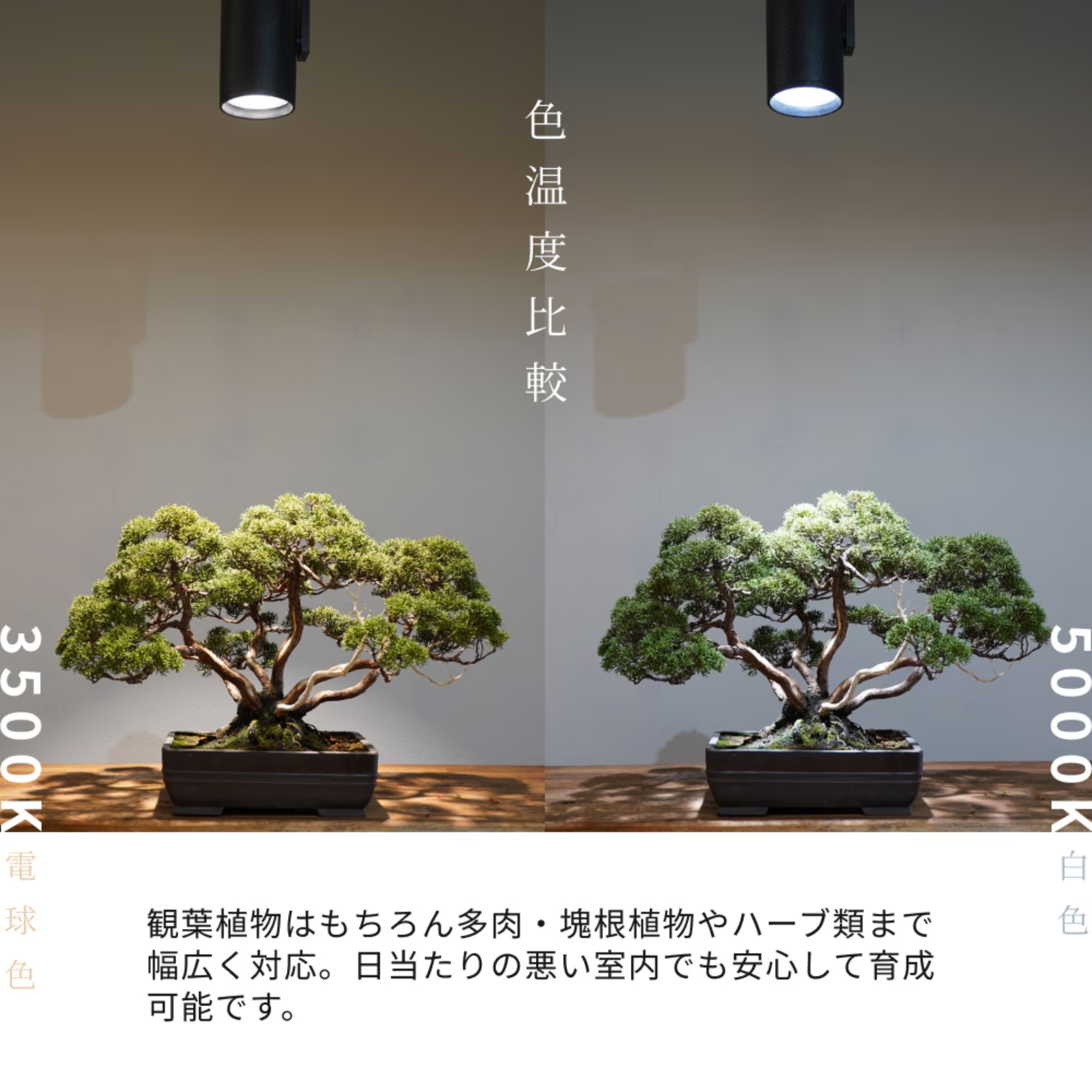 HADES LED 45W(5000K)