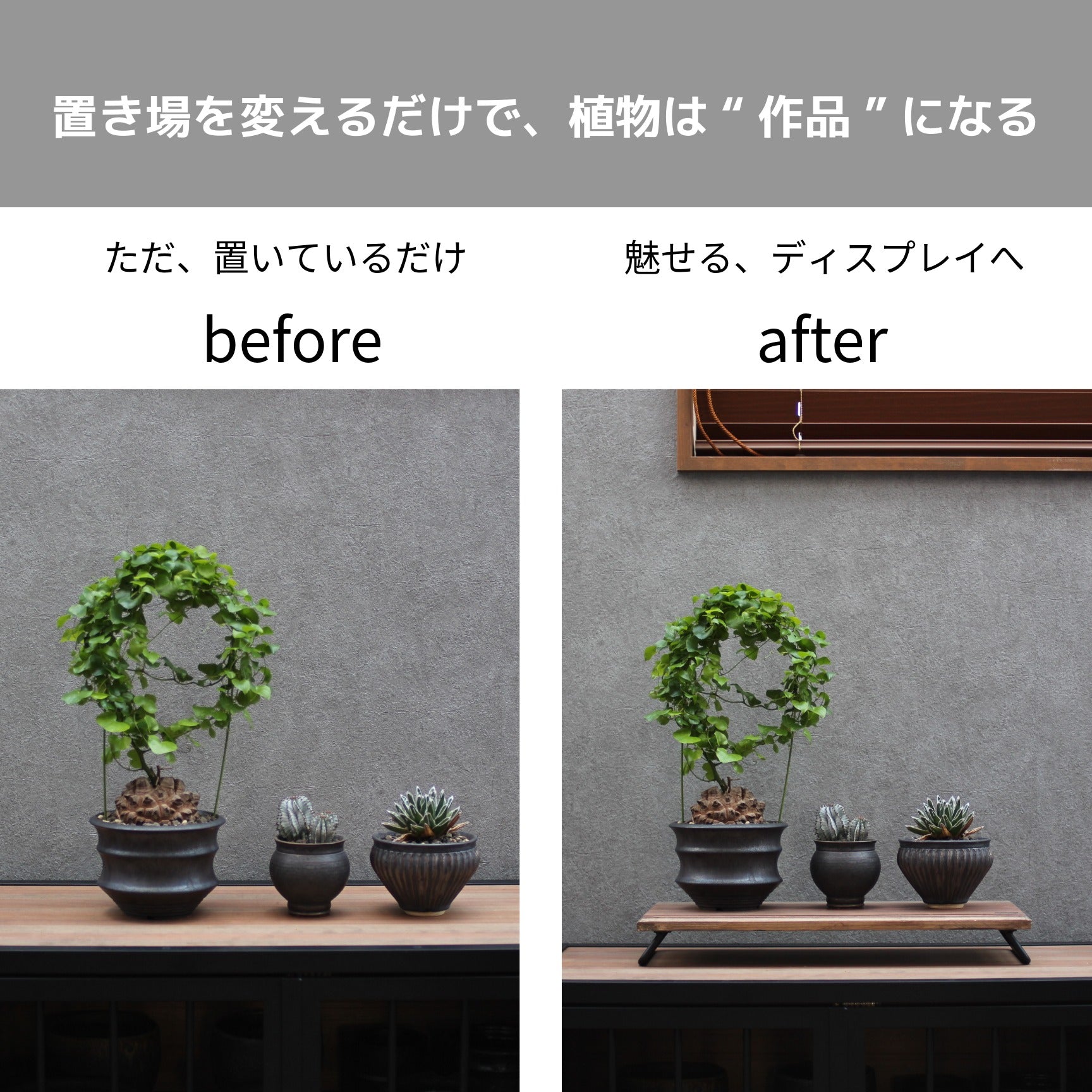 LOW DISPLAY BOARD(ロー・ディスプレイ・ボード)