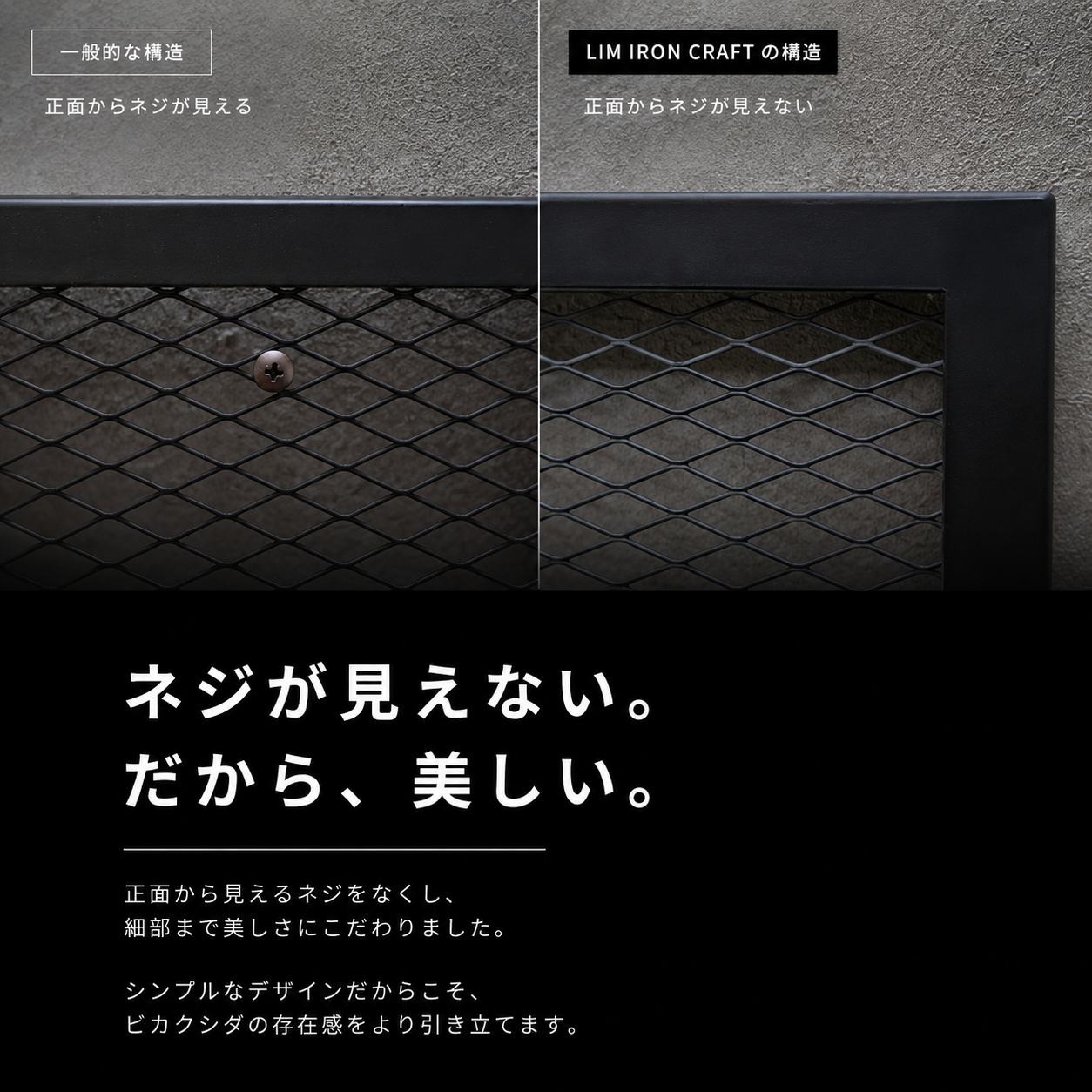 ビカクシダディスプレイ天板(初回予約販売)