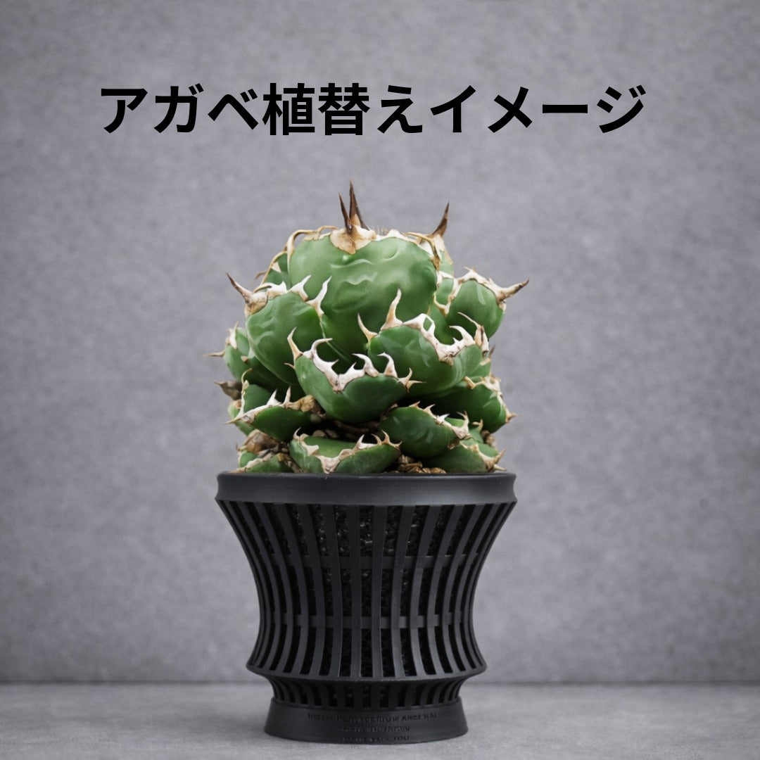 深呼吸する3Dプリント鉢/筒