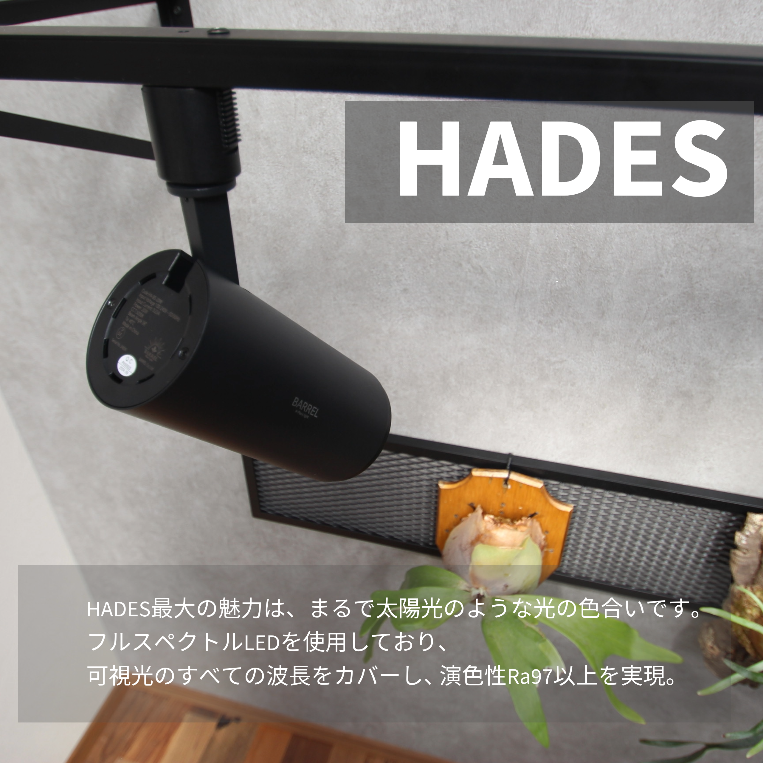 PLANTS GROW ARCHスターターセット