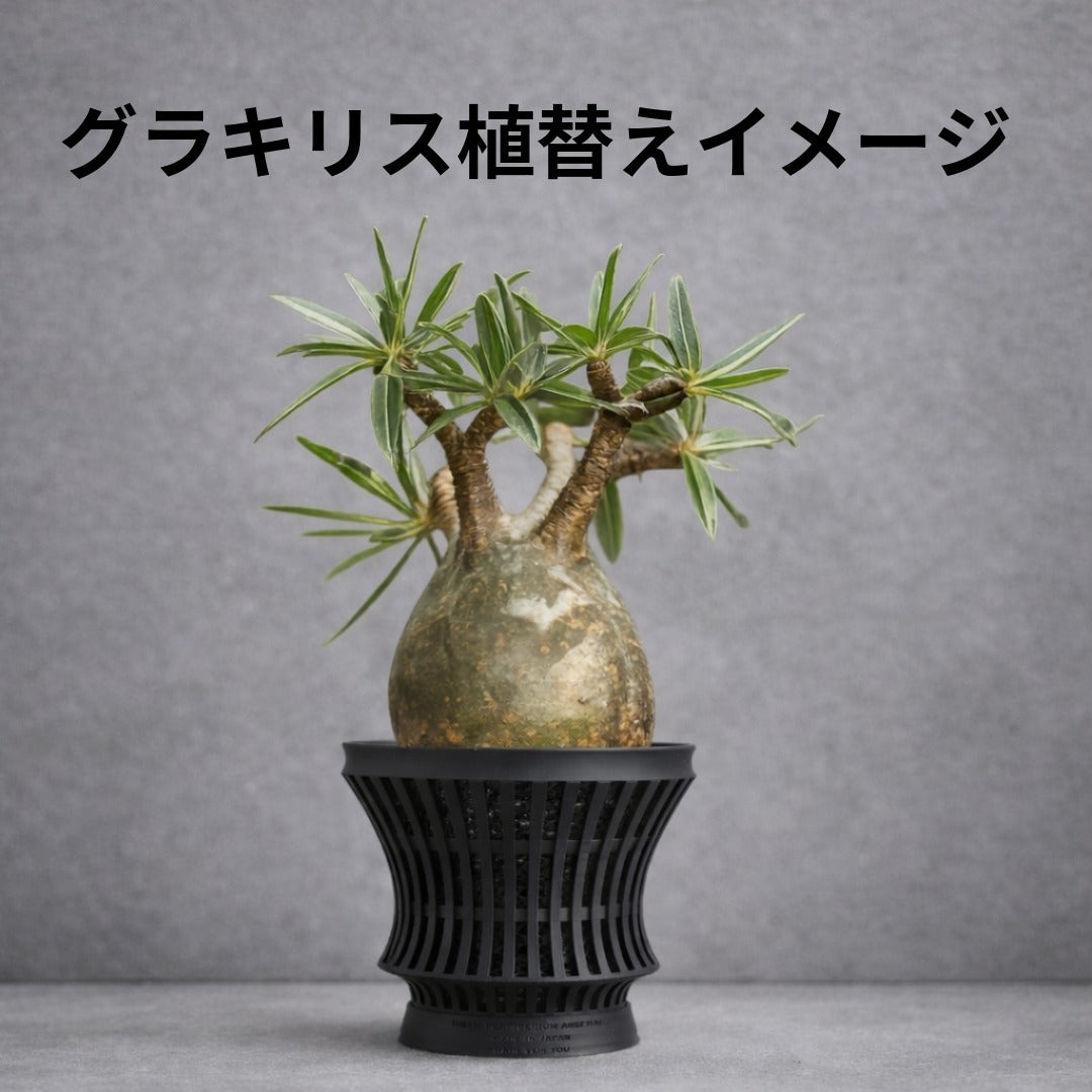 深呼吸する3Dプリント鉢/筒