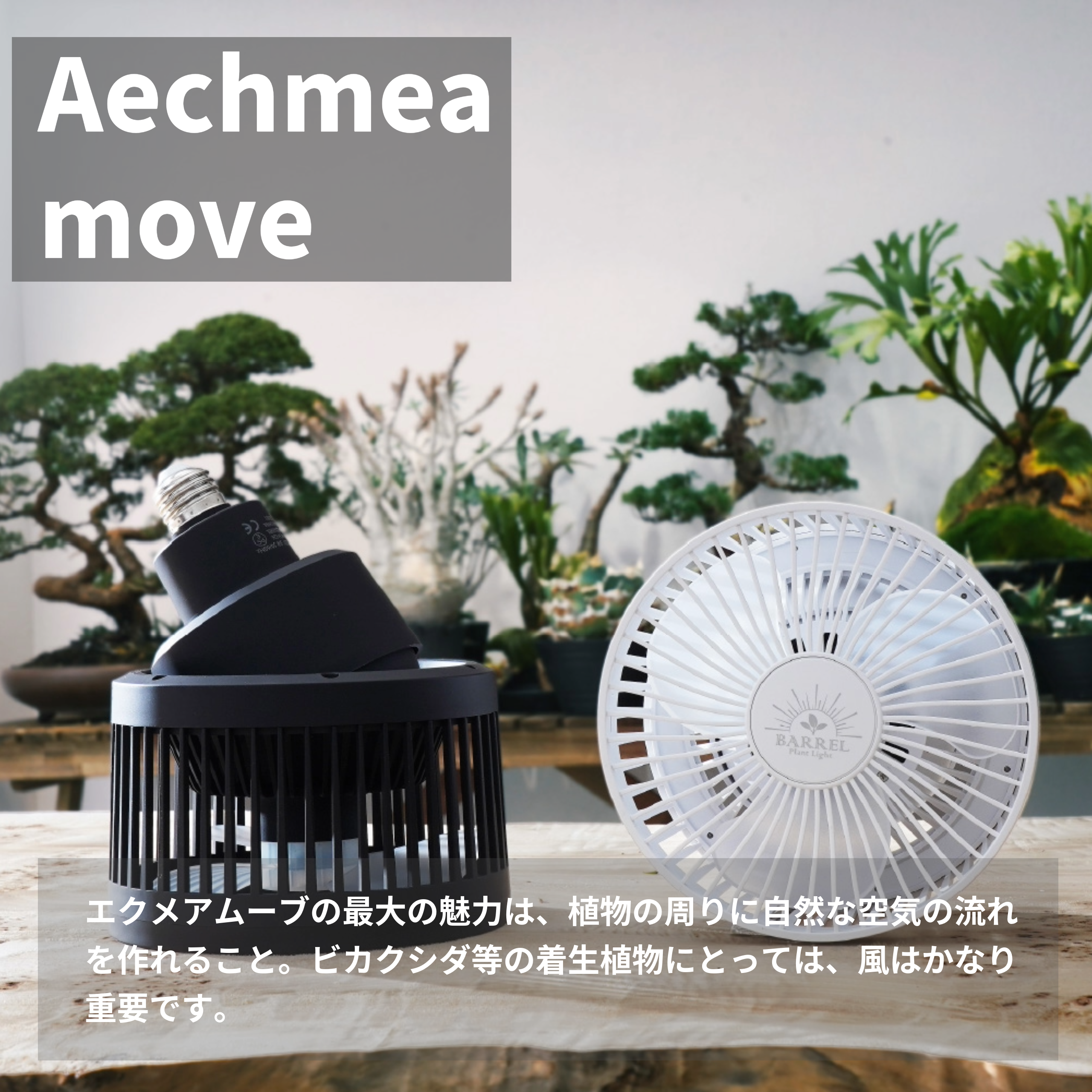 PLANTS GROW ARCHスターターセット