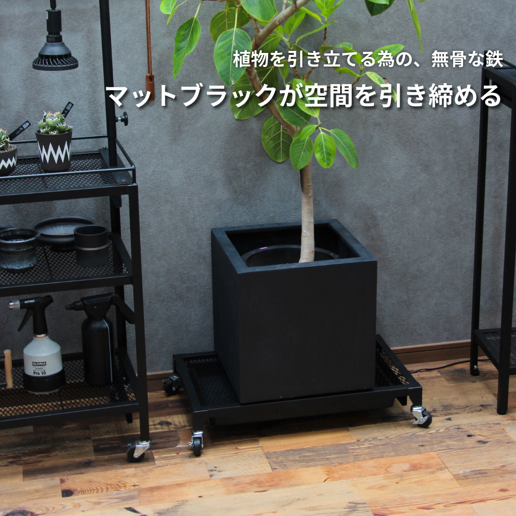 Plants Dolly~プランツ・ドリー~