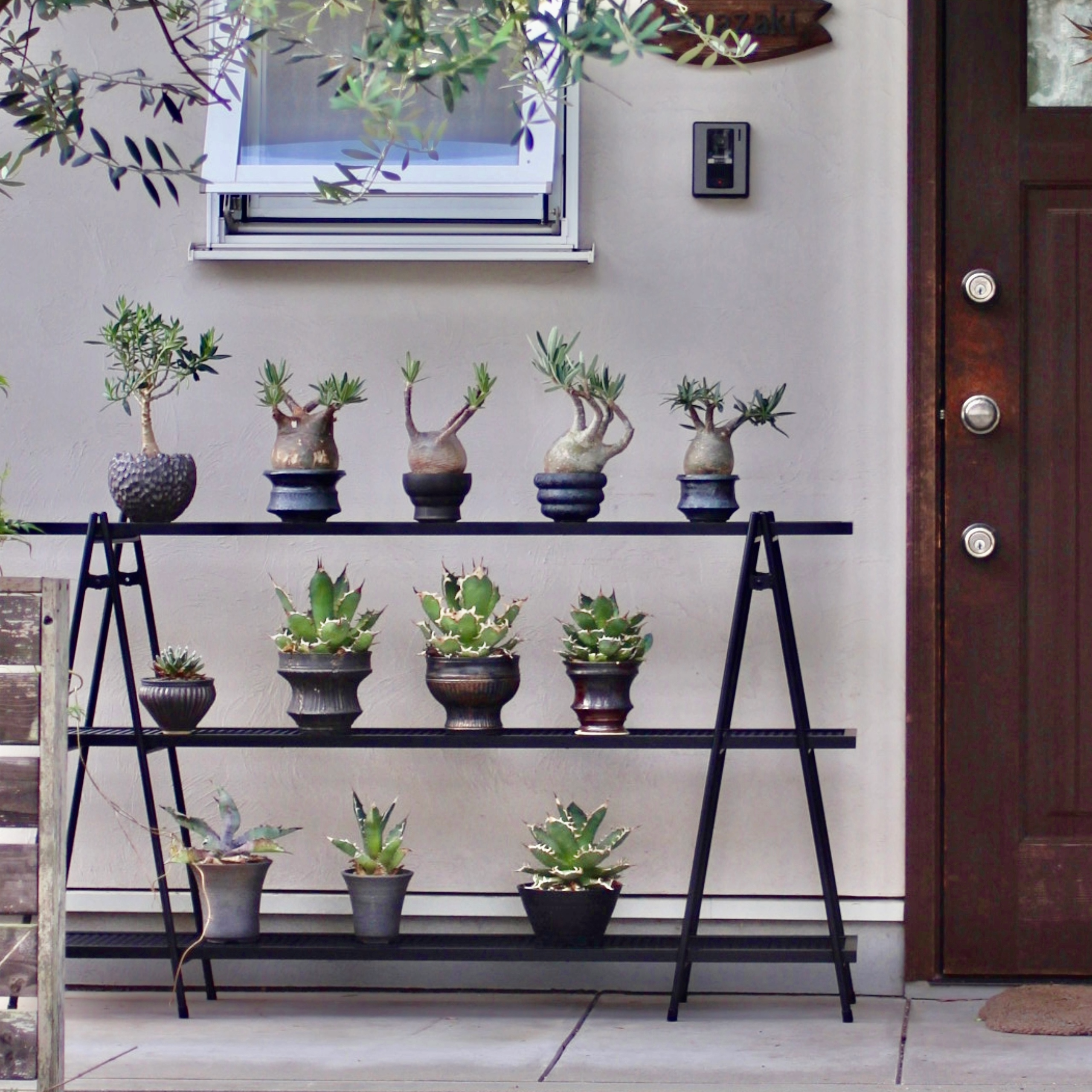 Iron Shelf L