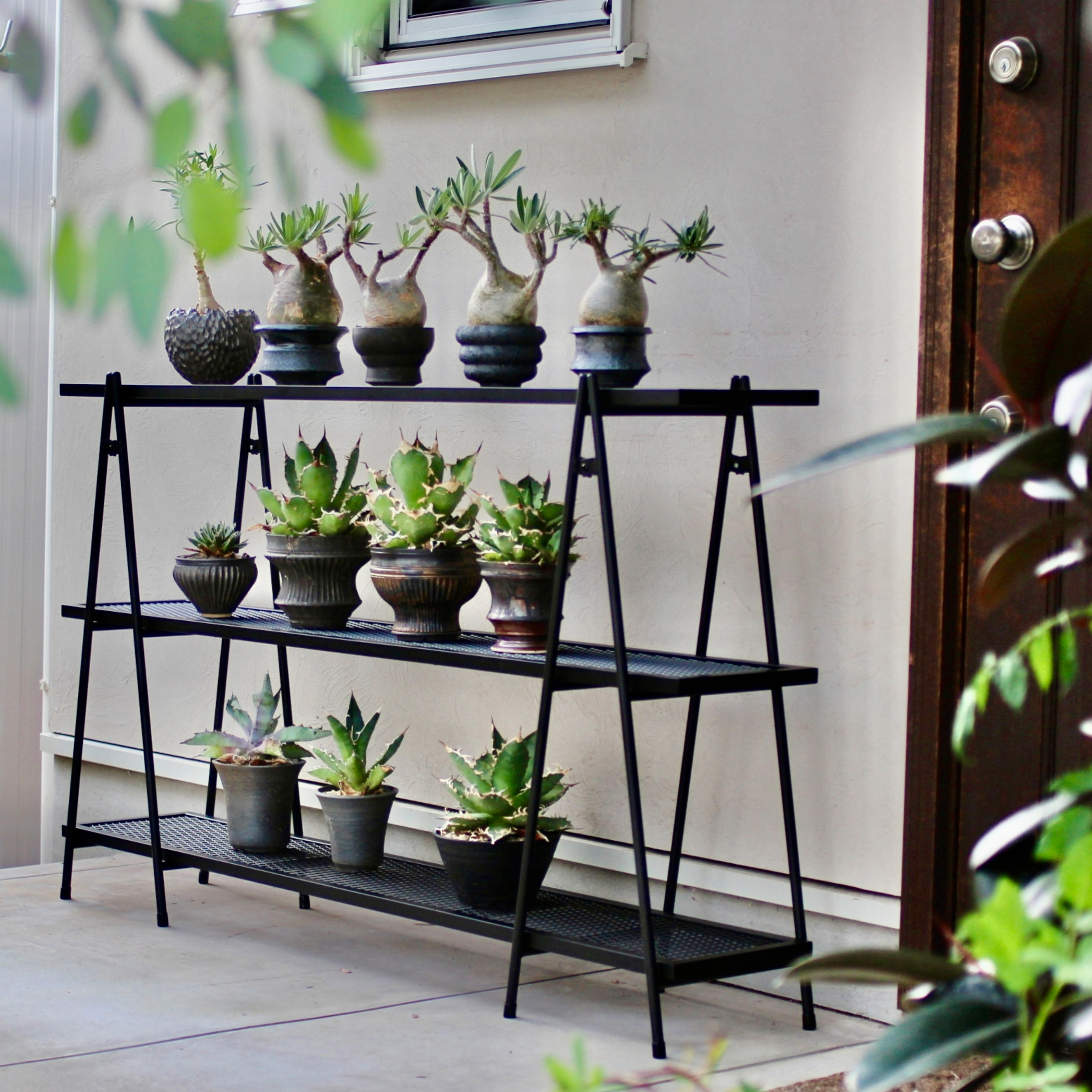 Iron Shelf L