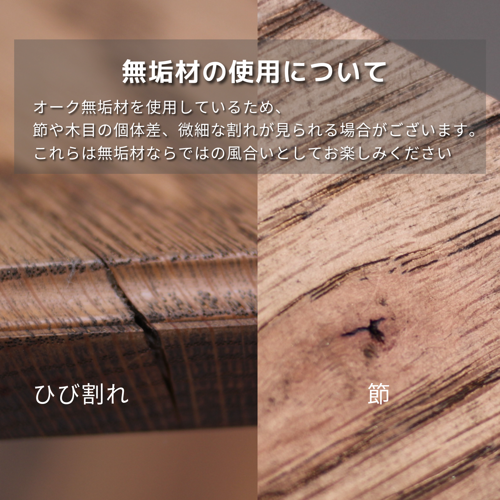 ビカクシダスタンド