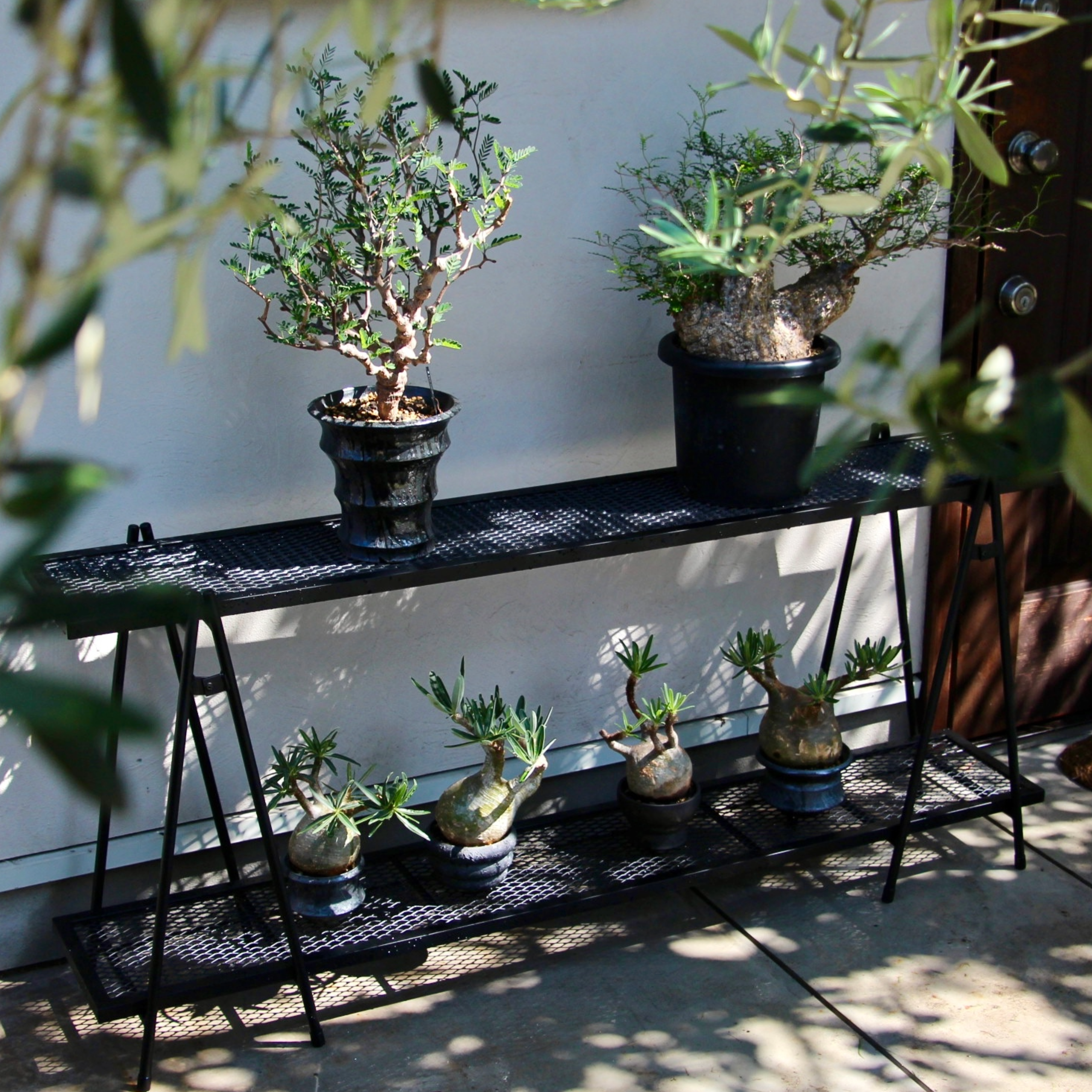 Iron Shelf L