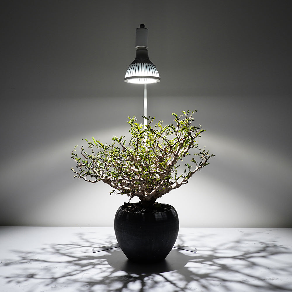 フロアーランプスタンド アコン ブラック ホワイト 植物育成ライト 角度調節可能 74CM FLOOR LAMP STAND【AKOND】