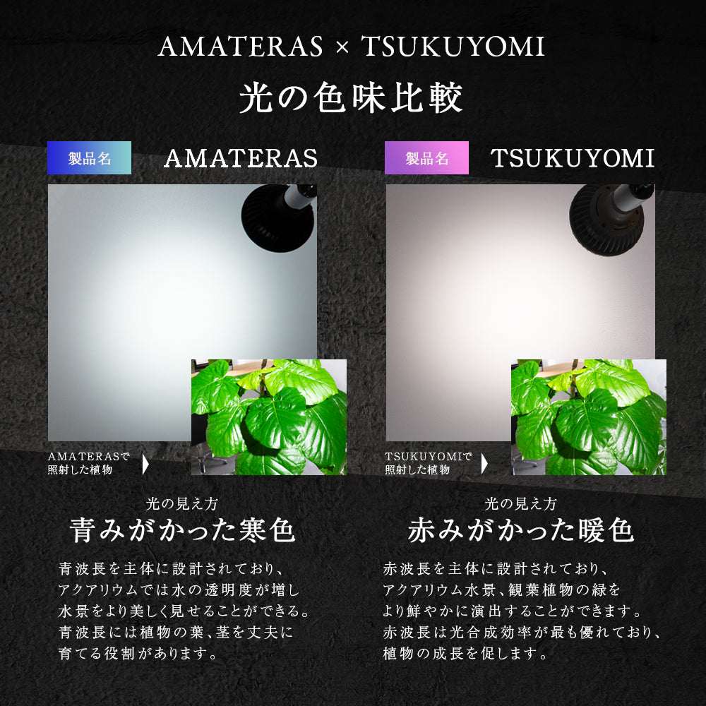 【NEO AMATERAS LED 20W】植物育成LED 太陽光LED アクアリウムLED テラリウム 室内太陽光LED ブラックボディ