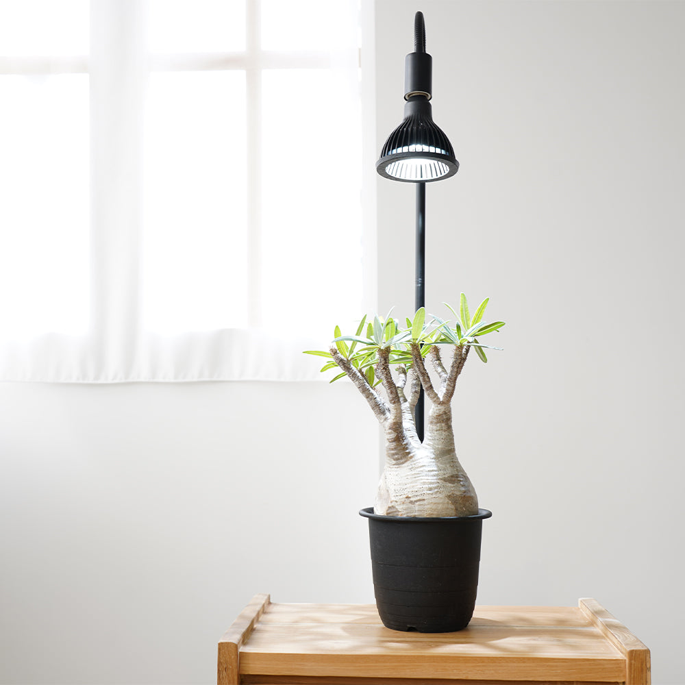 【NEO AMATERAS LED 20W】植物育成LED 太陽光LED アクアリウムLED テラリウム 室内太陽光LED ブラックボディ