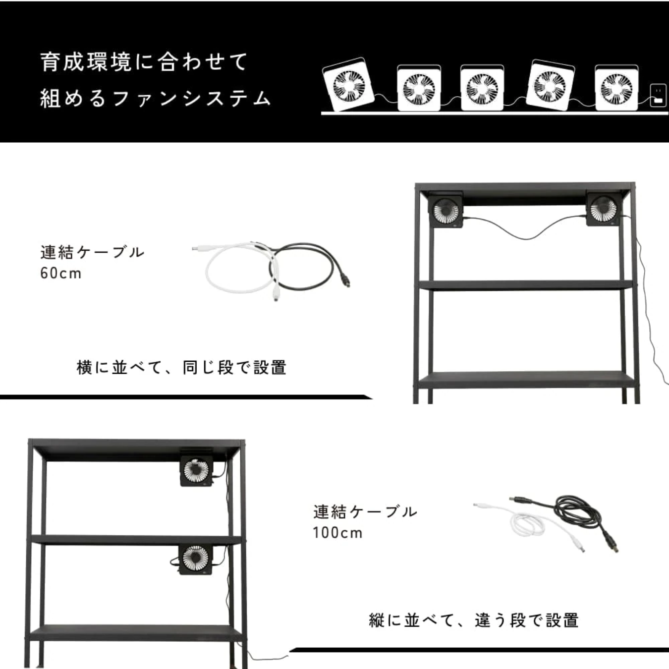 Aechmea Slim Link ブラックカラー