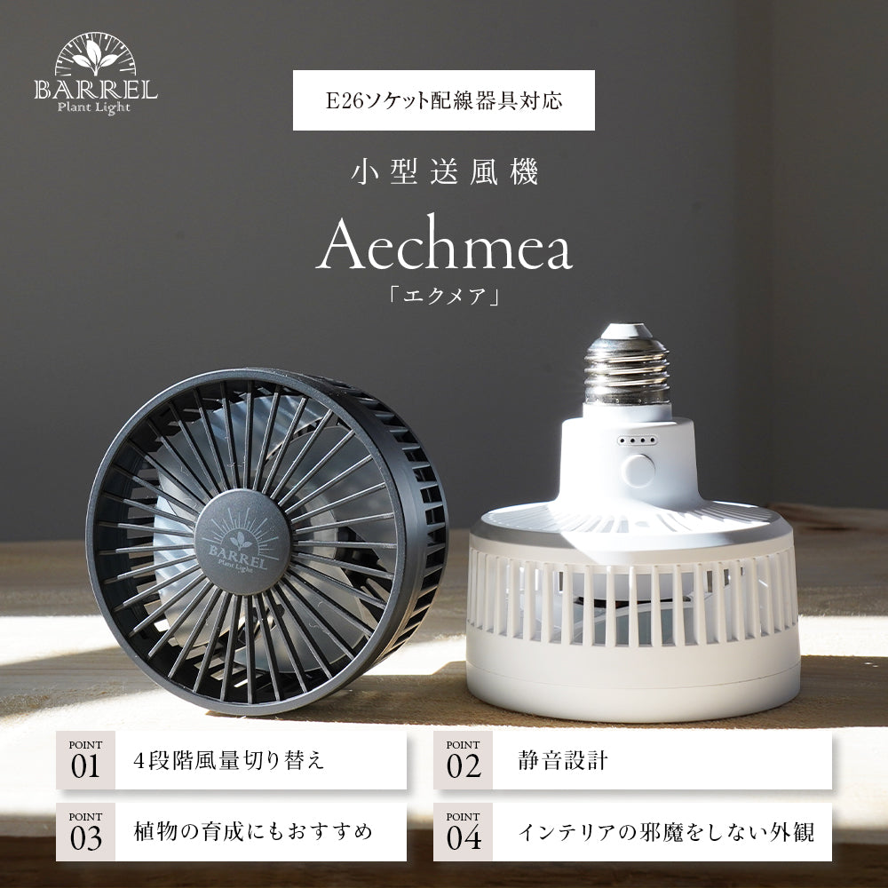 小型送風機 Aechmea