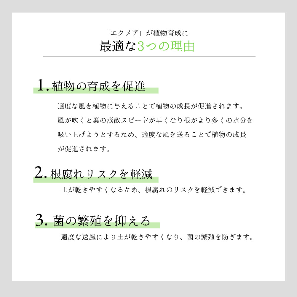 送風機 Aechmea move
