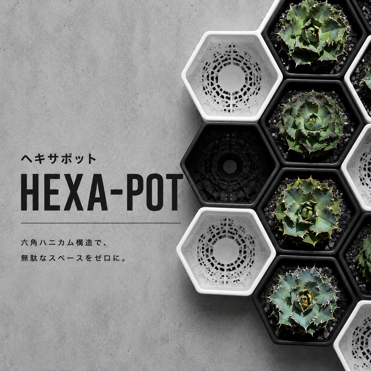HEXA-POT 5号鉢