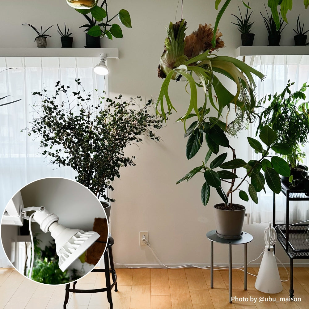 Clamp lamp Socket ~クランプ ランプ ソケット~