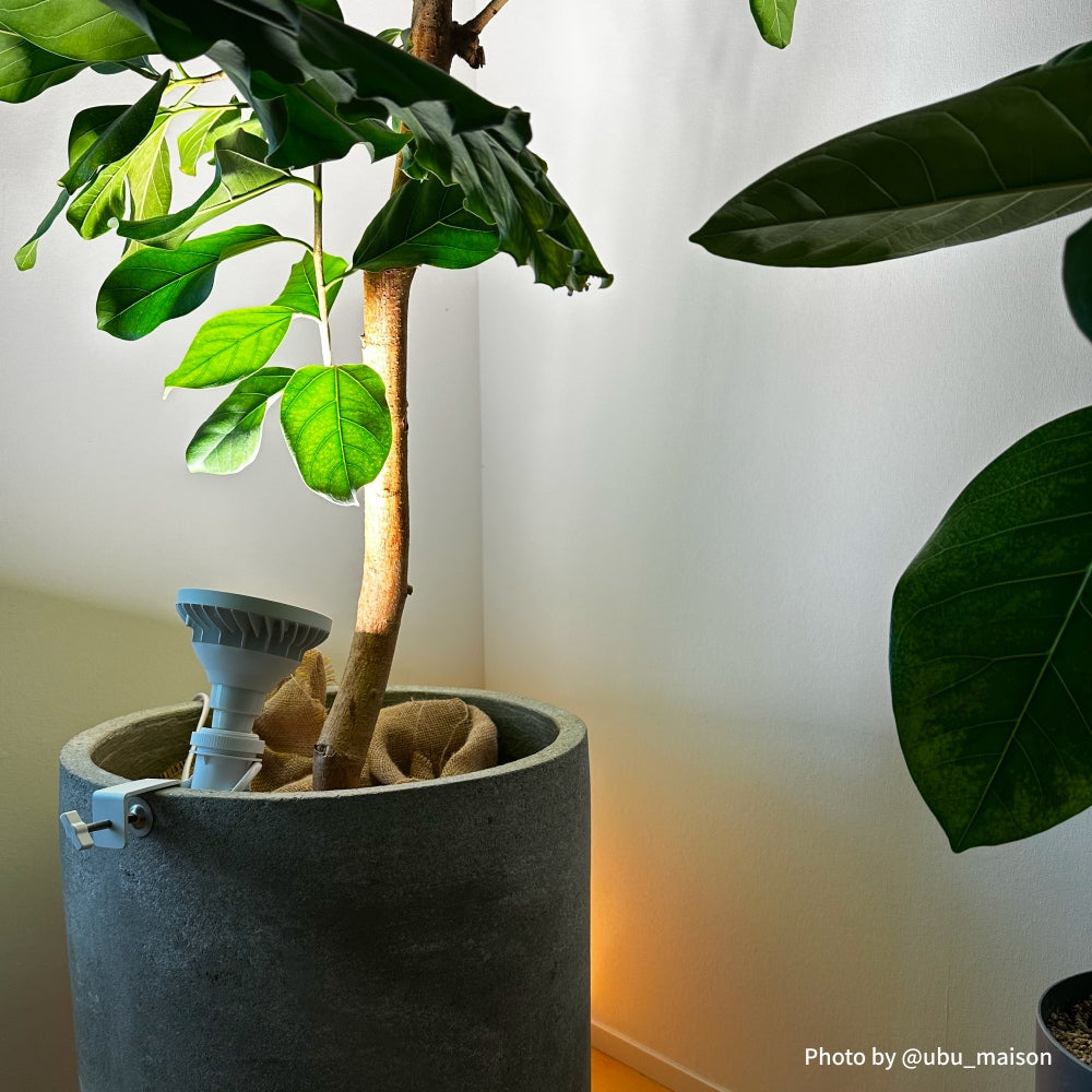 Clamp lamp Socket ~クランプ ランプ ソケット~