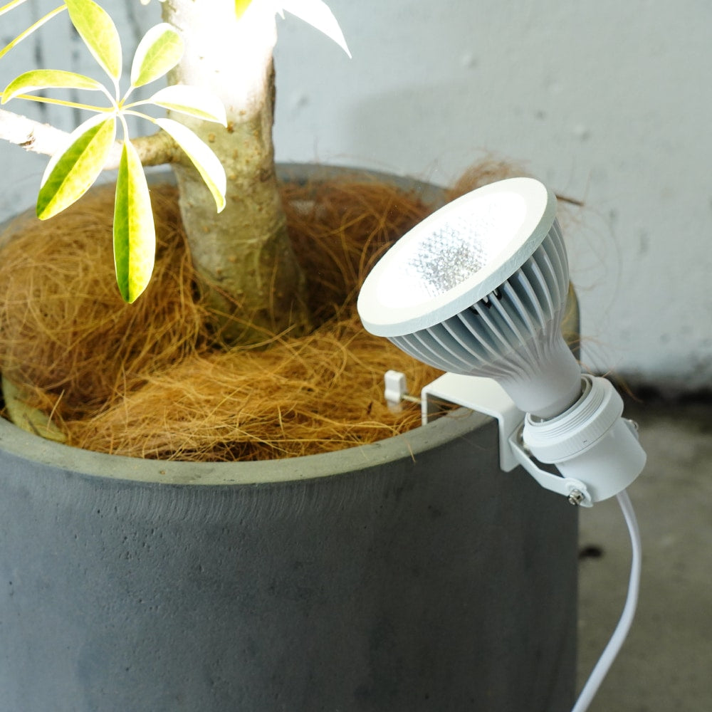 Clamp lamp Socket ~クランプ ランプ ソケット~