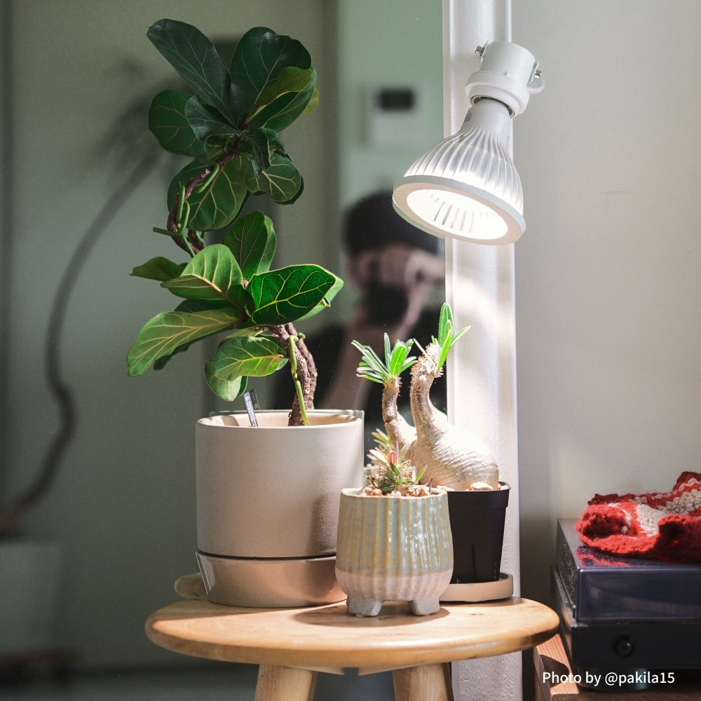 Clamp lamp Socket ~クランプ ランプ ソケット~