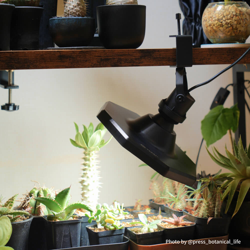 Clamp lamp Socket ~クランプ ランプ ソケット~