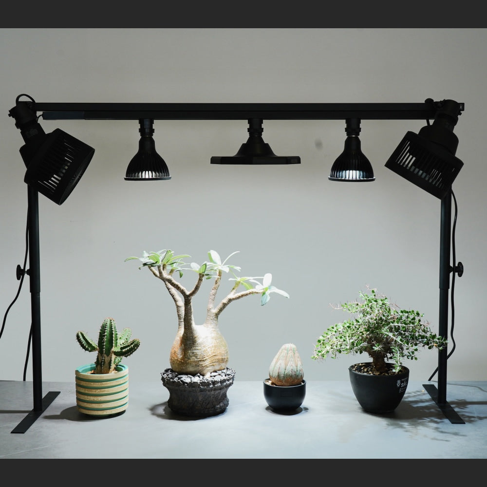 Clamp lamp Socket ~クランプ ランプ ソケット~