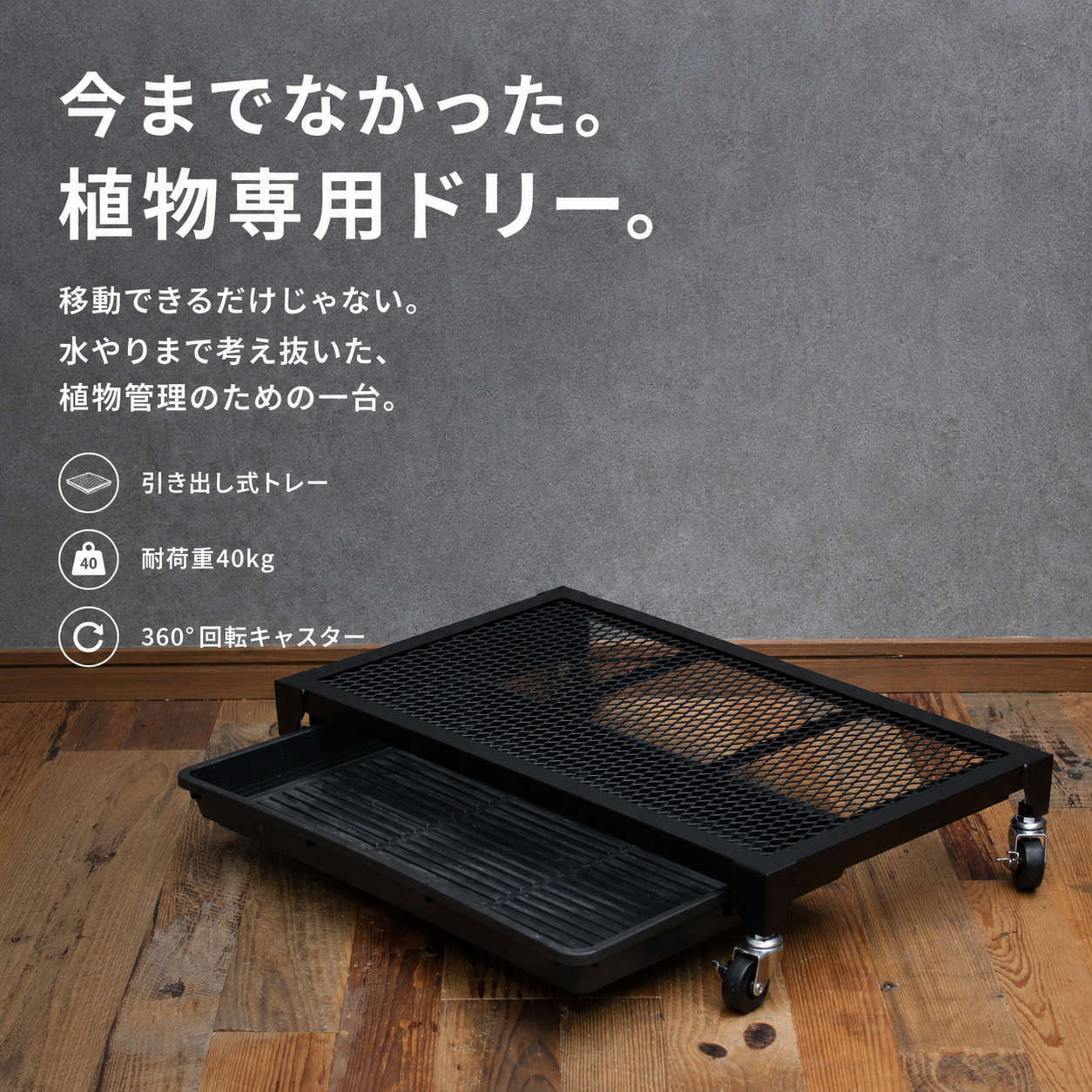 Plants Dolly~プランツ・ドリー~(予約販売品)