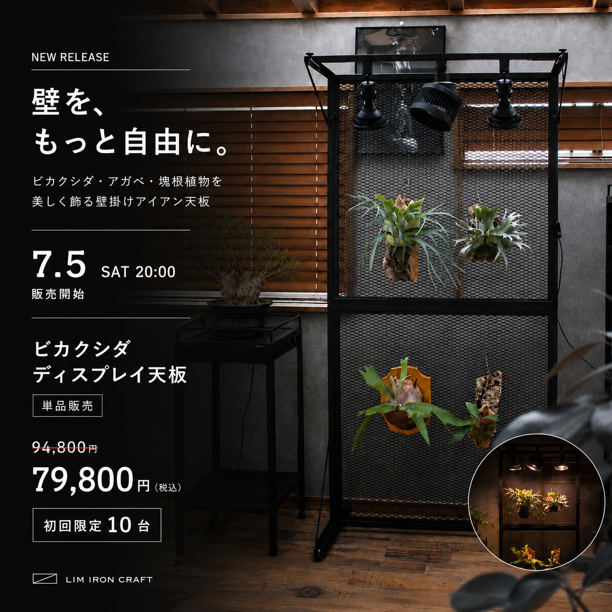 ビカクシダディスプレイパネル