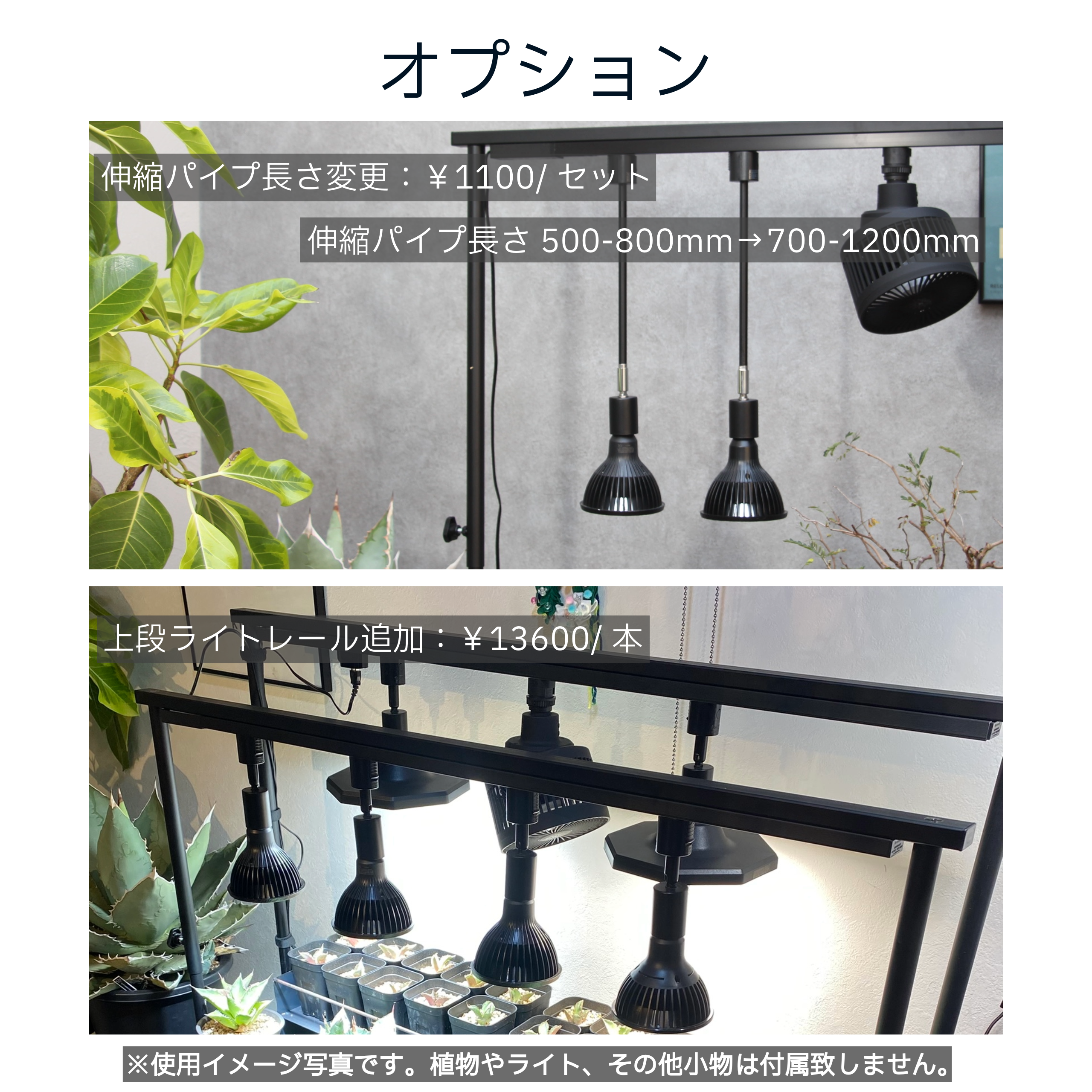 フルオーダー植物棚