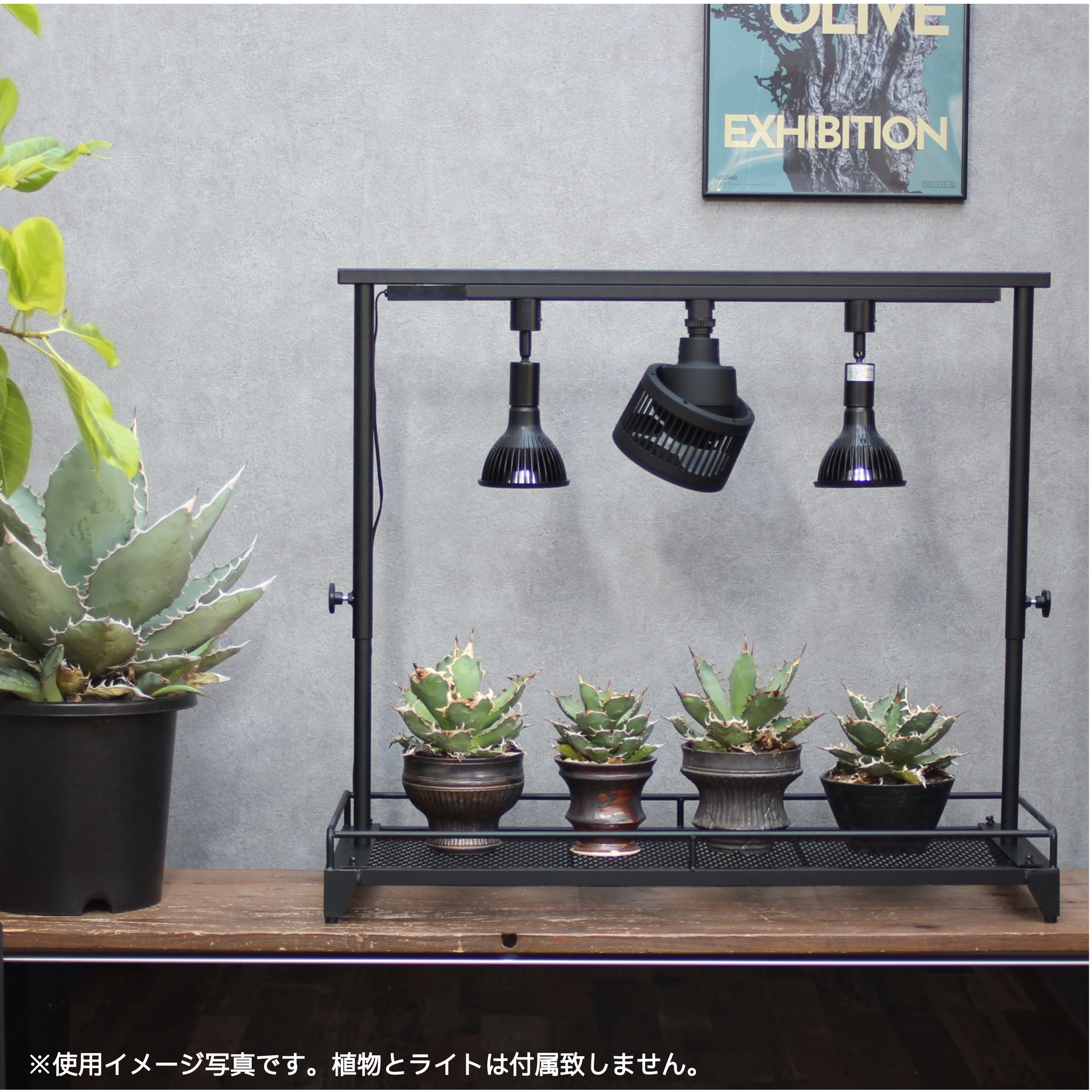 【お得】室内植物育成セット LIM AIRON CRAFT NEWS | Lim iron craft