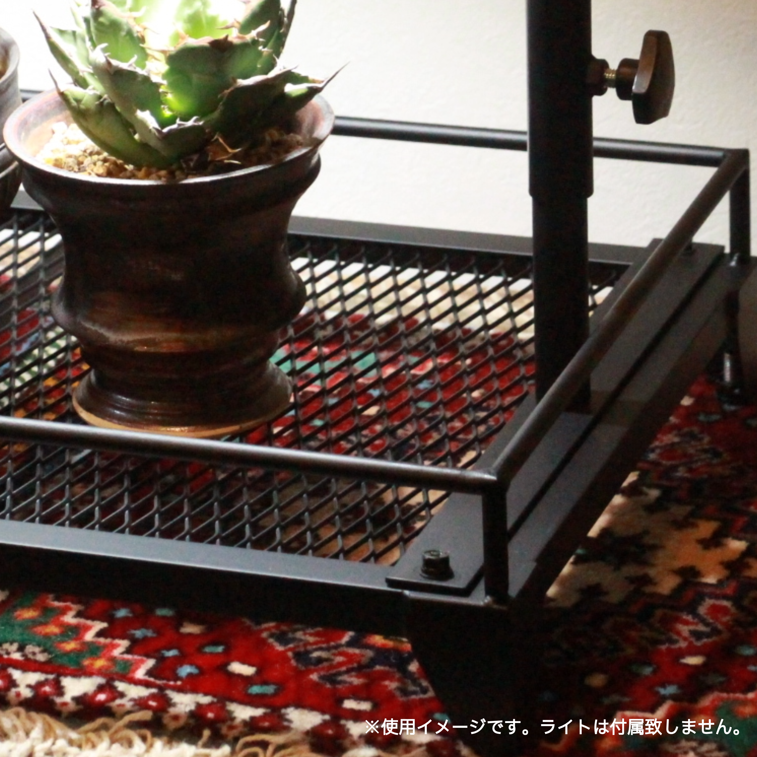 mini植物棚