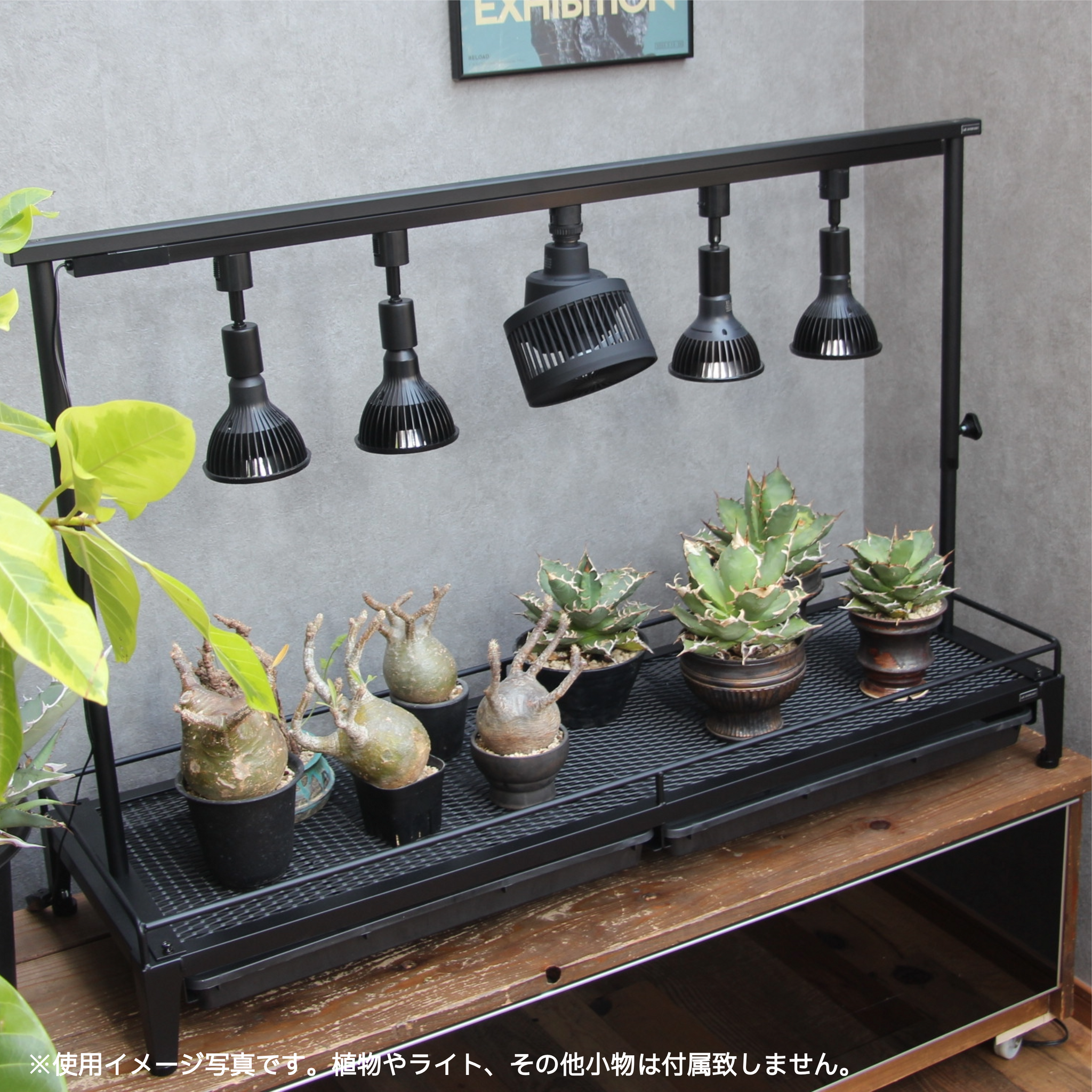 アイアン 植物棚 ダクトレール70cm付き　黒塗装　受注製作 mini植物棚 （ダクトレール付き） 棚・シェルフ・ラック limiron