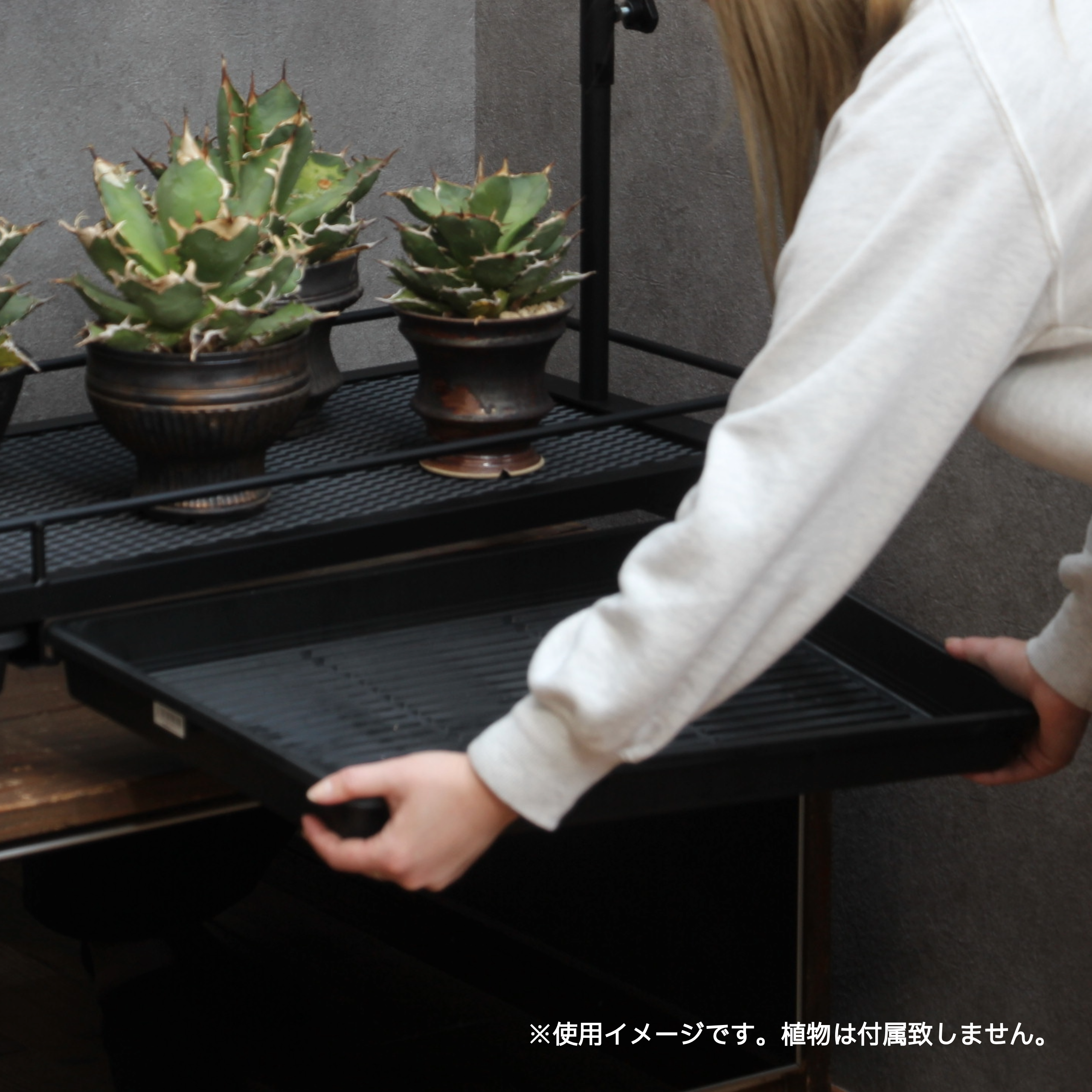 1-tier plant shelf with water tray (with duct rail)