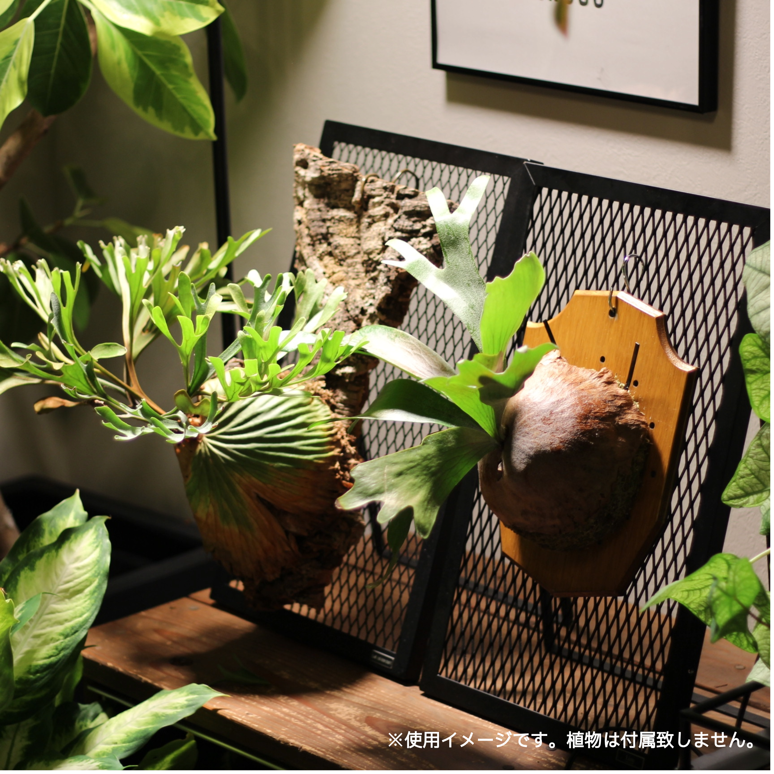 PLANT STAND